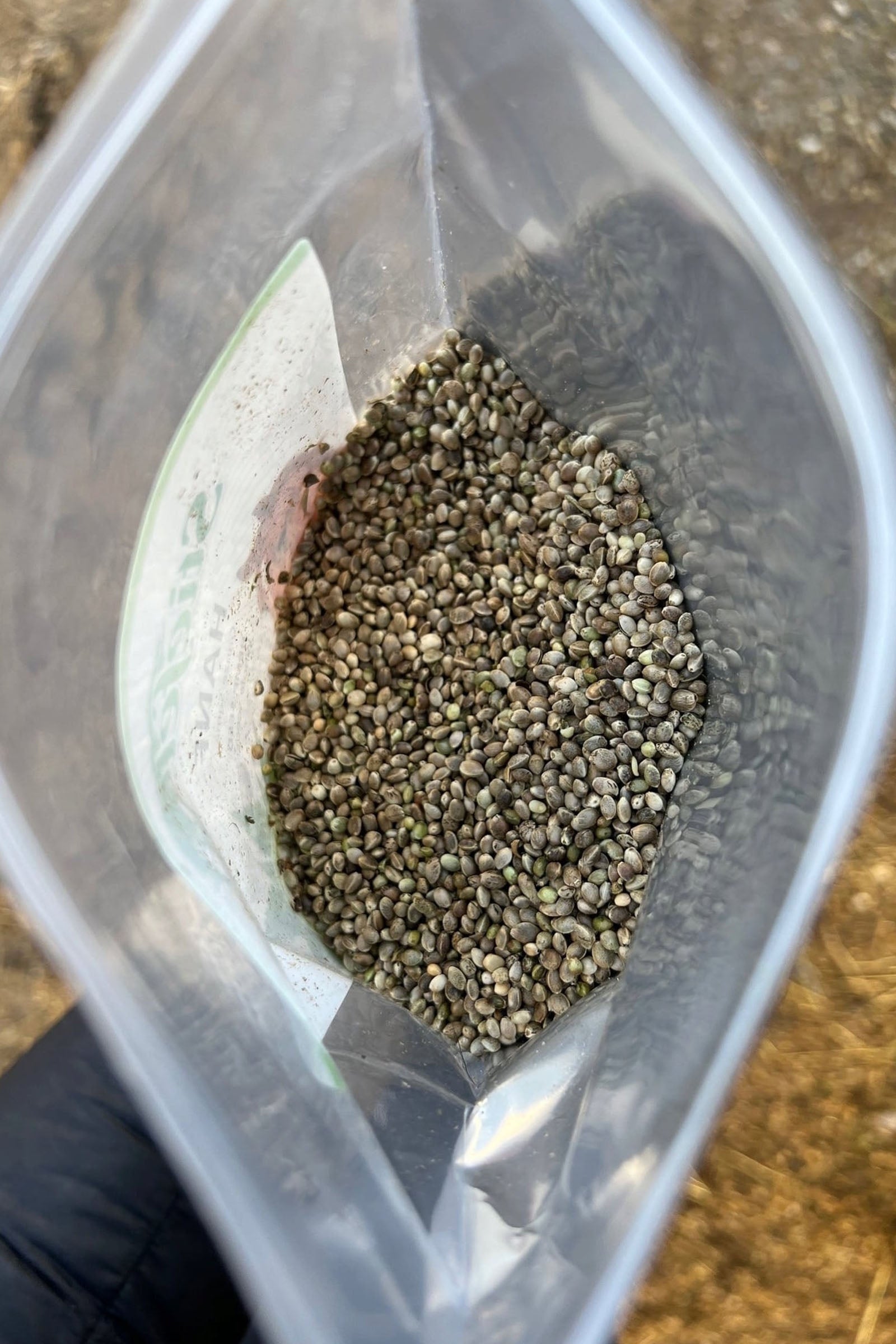 Stiefel Hemp Seeds, 650g Horse Feed & Nutrition