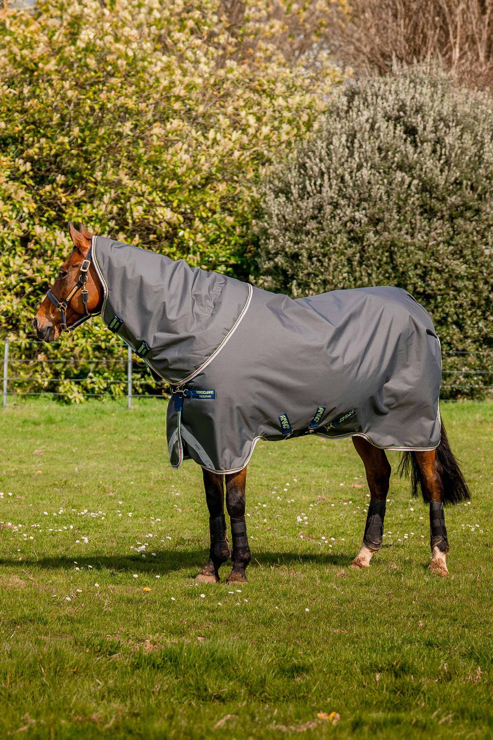 Horseware Amigo Bravo 12 Plus Turnout Rug, 250 g Horse Rugs