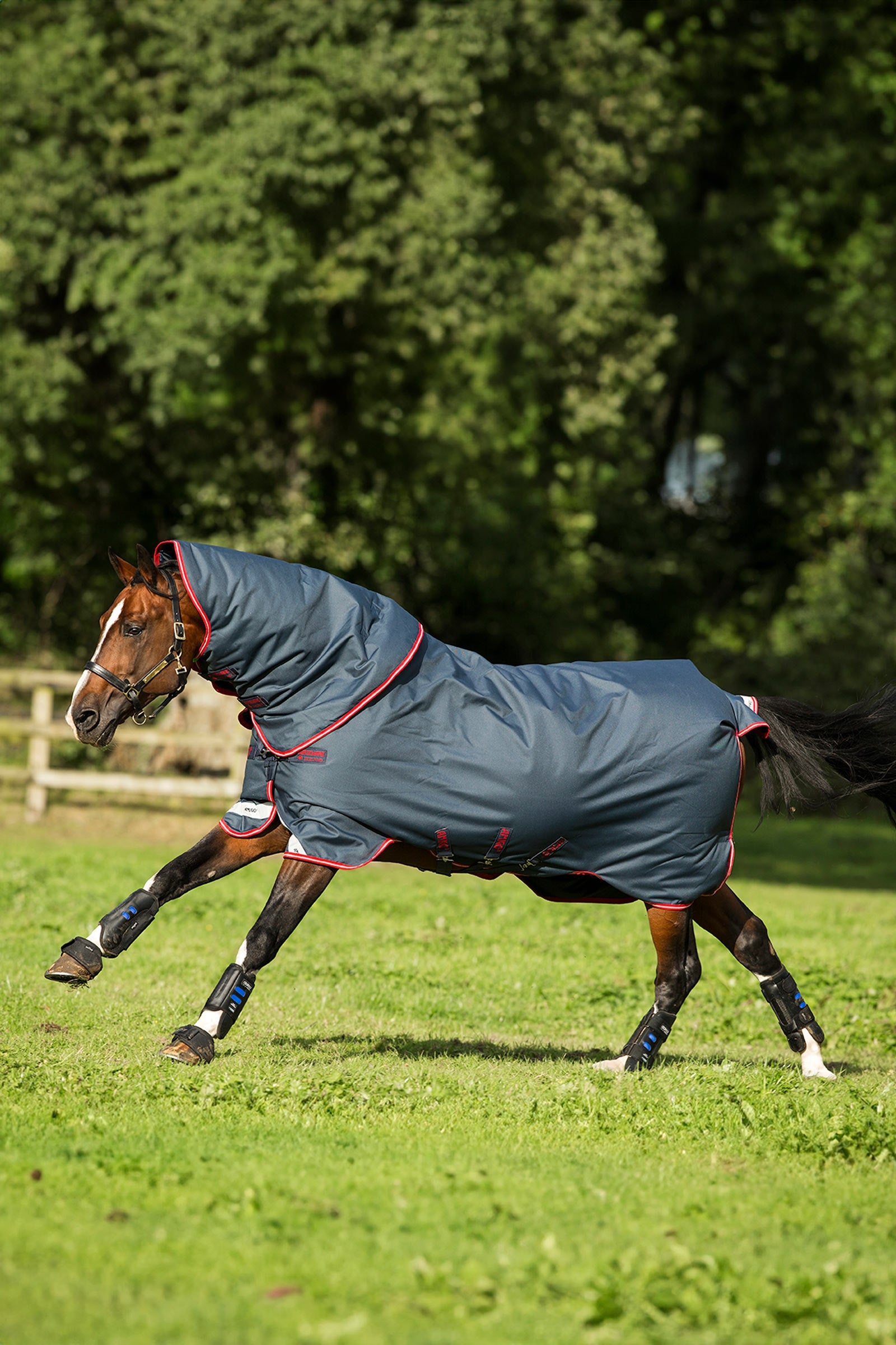 Horseware Amigo Bravo 12 Plus Turnout Rug, 250 g Horse Rugs