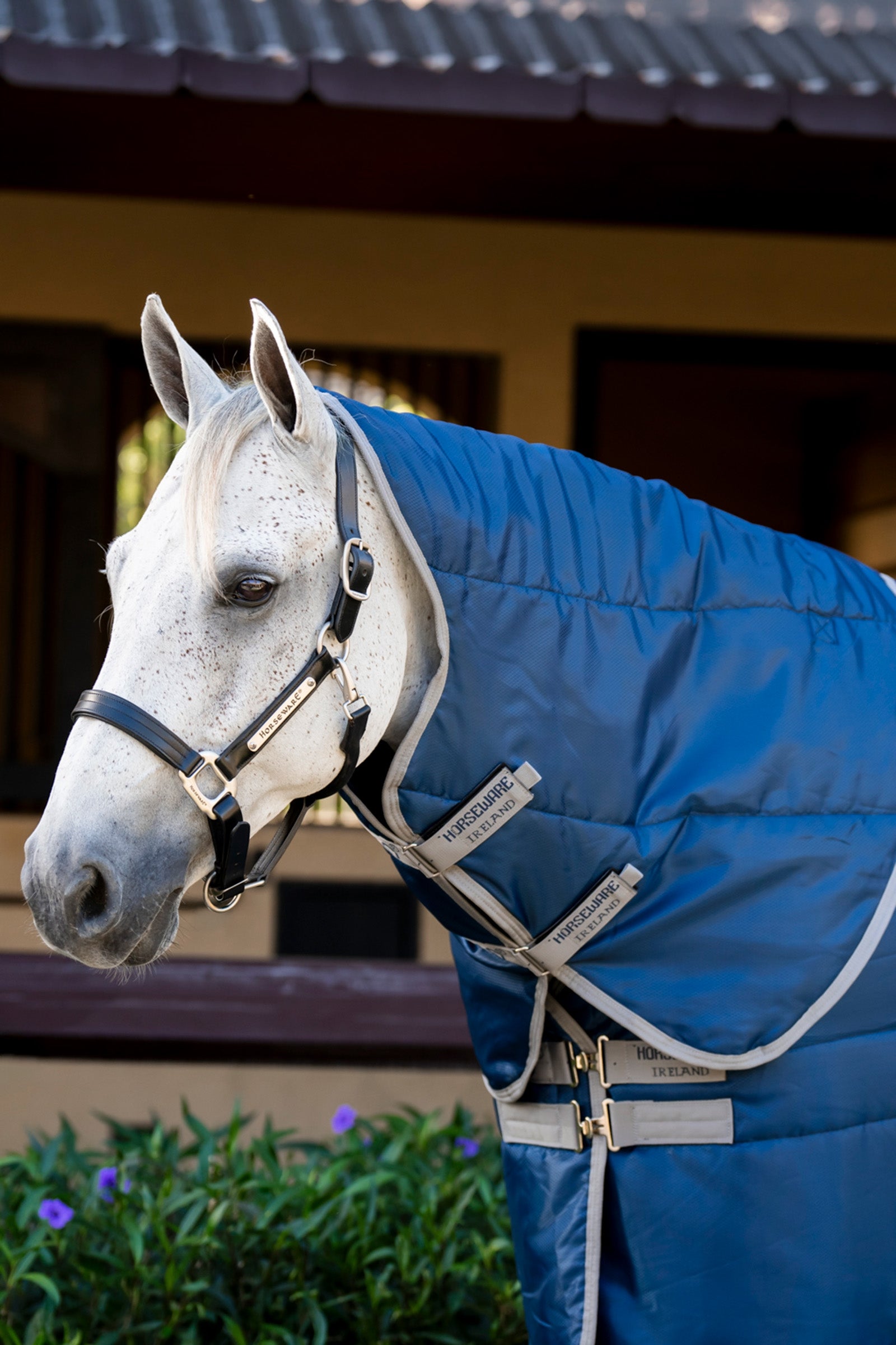 Horseware Amigo Ripstop Insulator Stallhaube, 100 g Pferdedecken