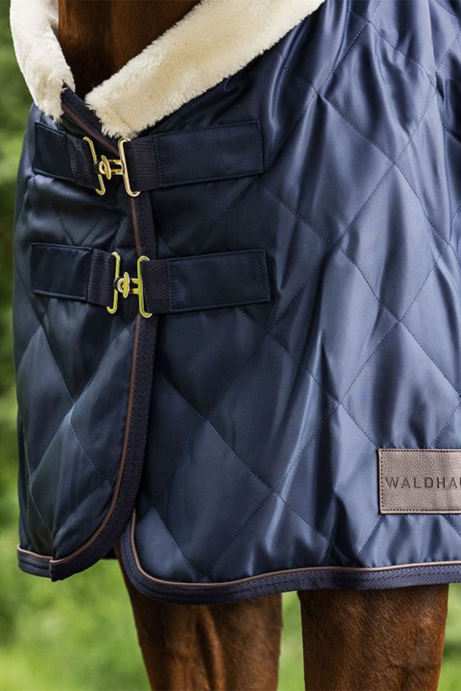 Waldhausen Exclusive Travel Rug, 50g Horse Rugs