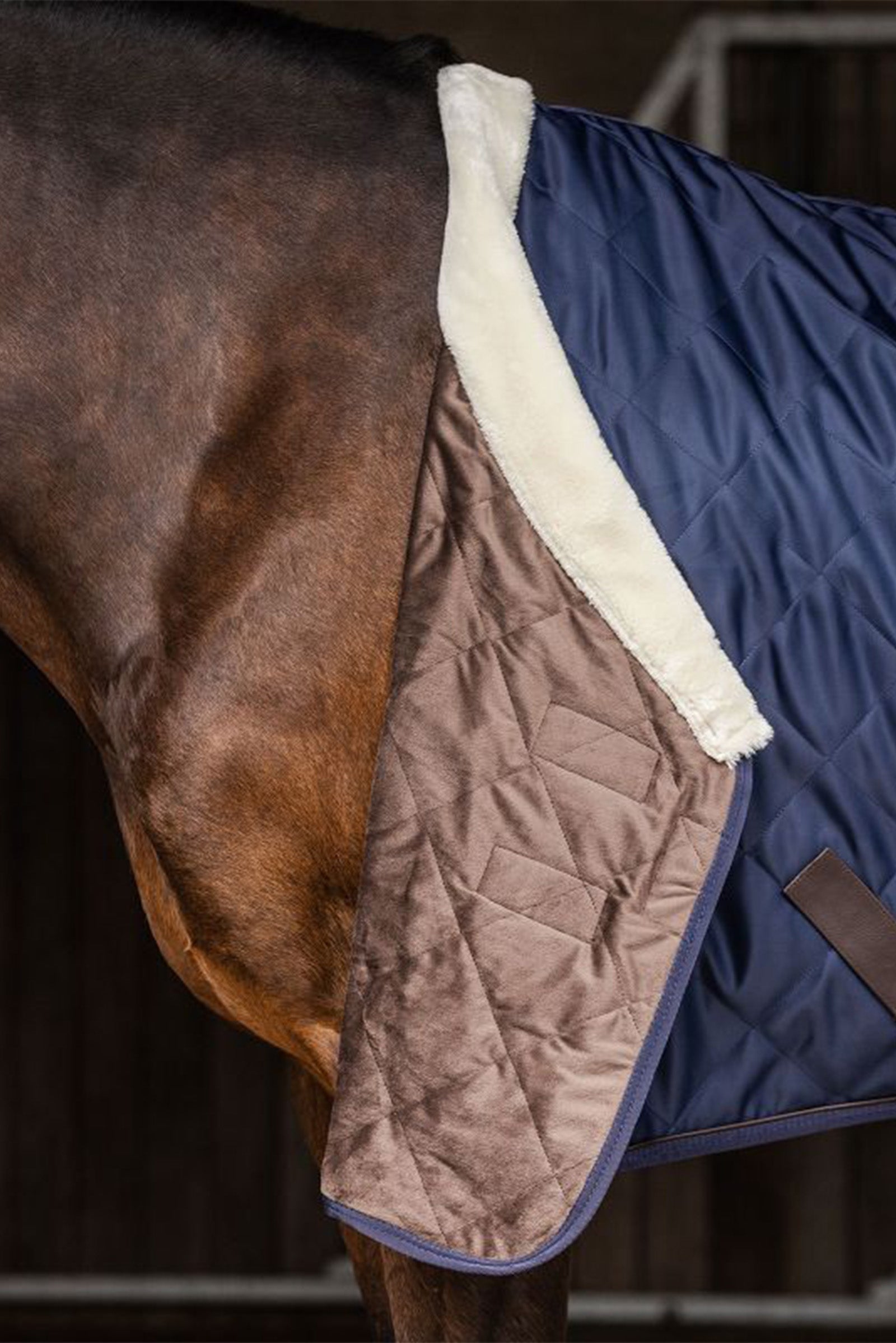 Waldhausen Exclusive Travel Rug, 50g Horse Rugs