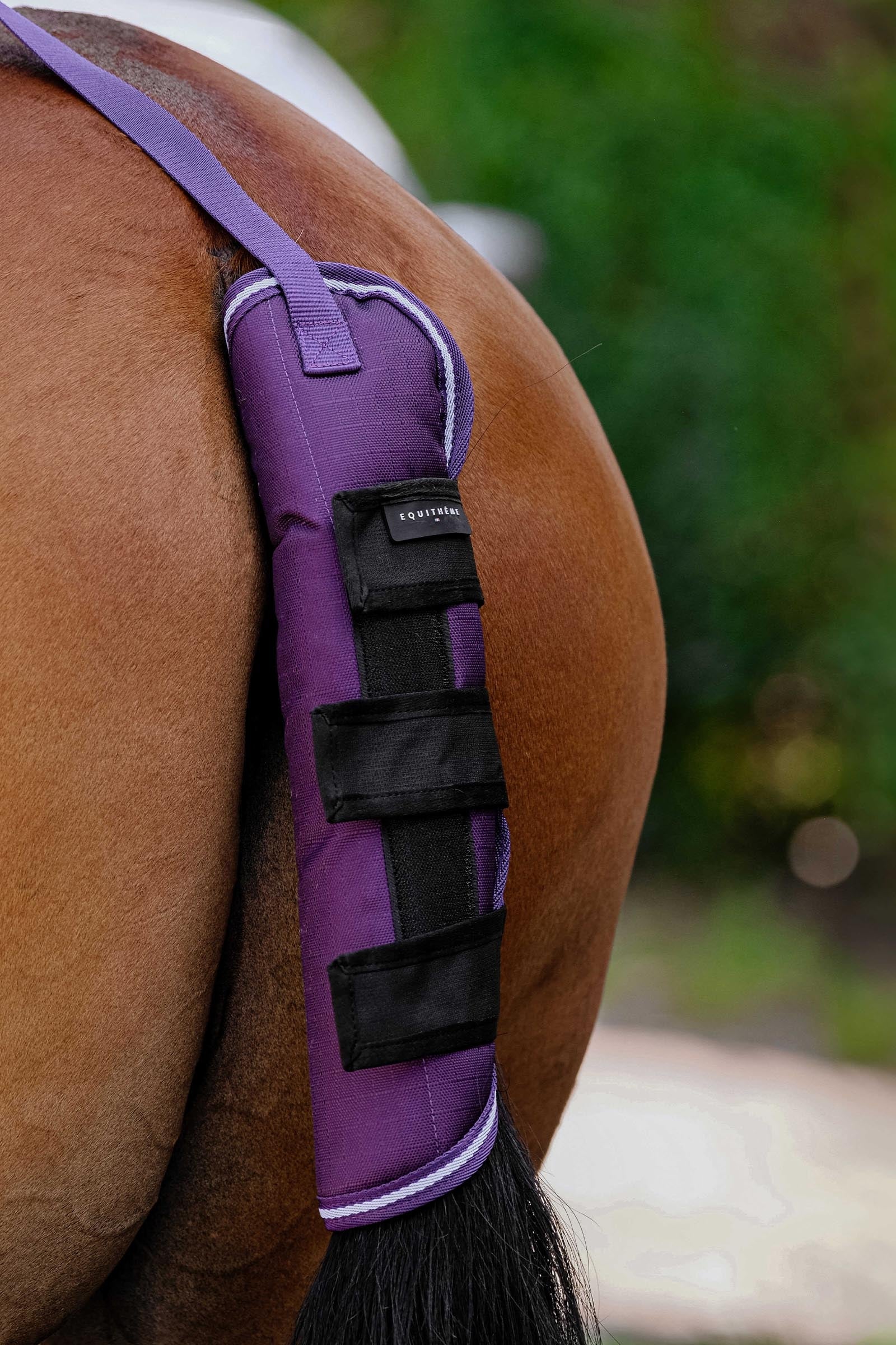 EQUITHÈME TYREX 600D Schweifschoner Plume Leg & Hoof Protection