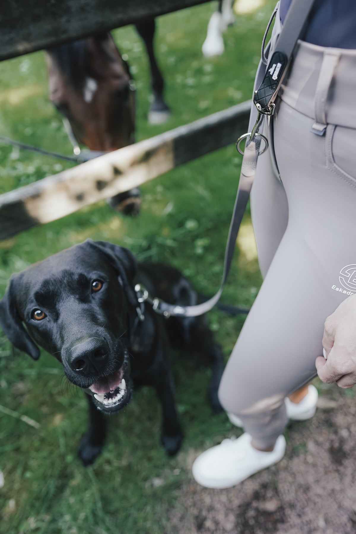 Eskadron Hunter x ESKADRON SPARK ADJUST Dog Leash Dog Accesories