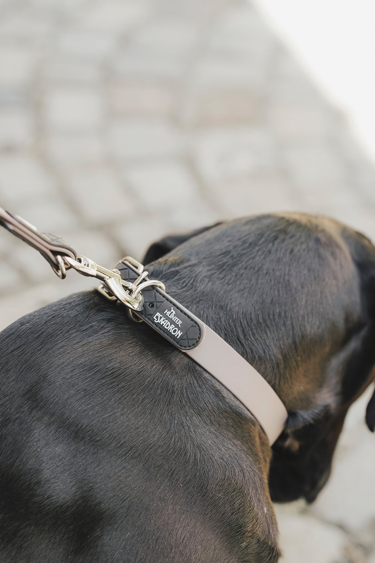 Eskadron Hunter x ESKADRON SPARK ADJUST Dog Leash Dog Accesories