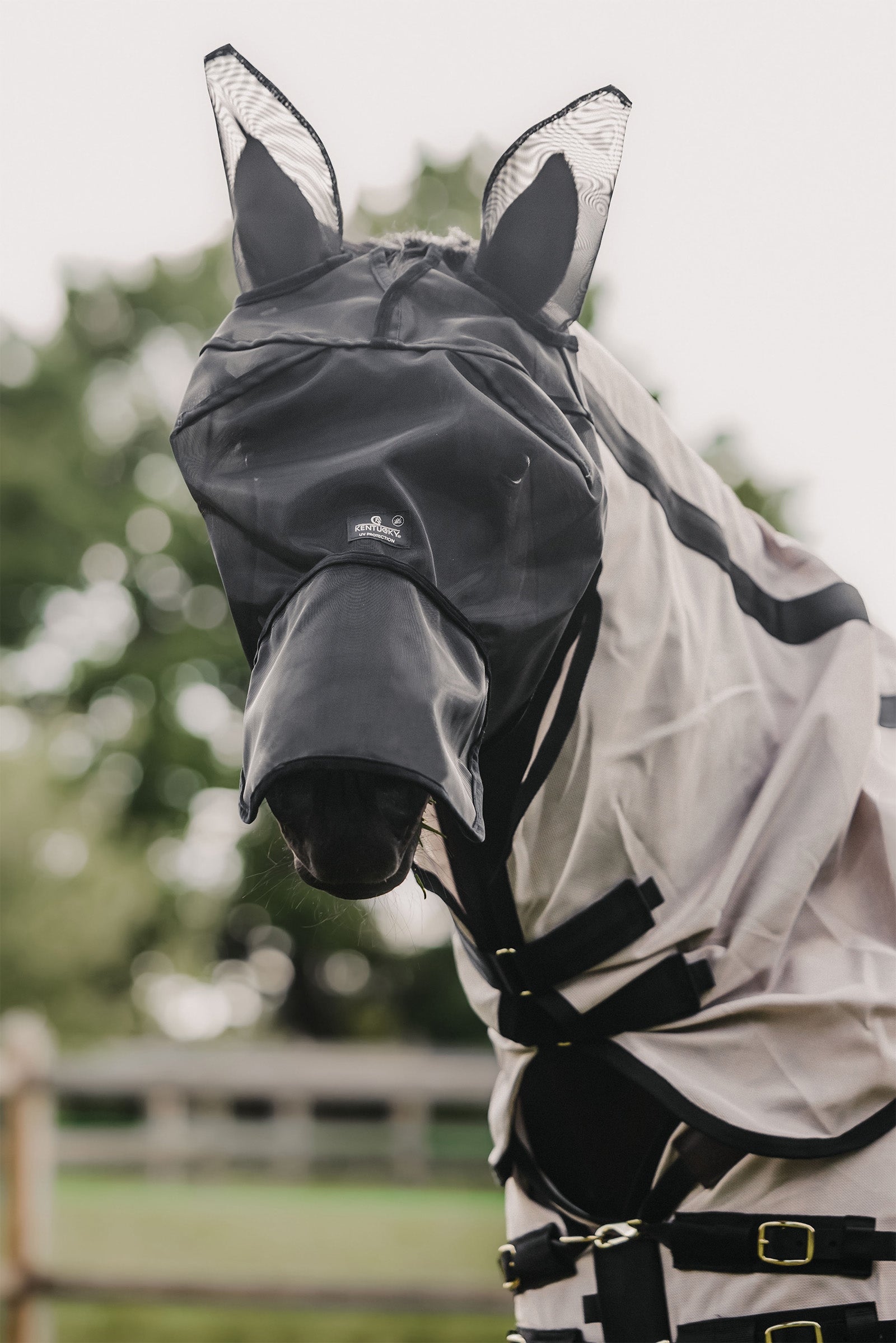 Kentucky Horsewear Fly Mask Classic with Ears and Nose Antifly Protection for Horses