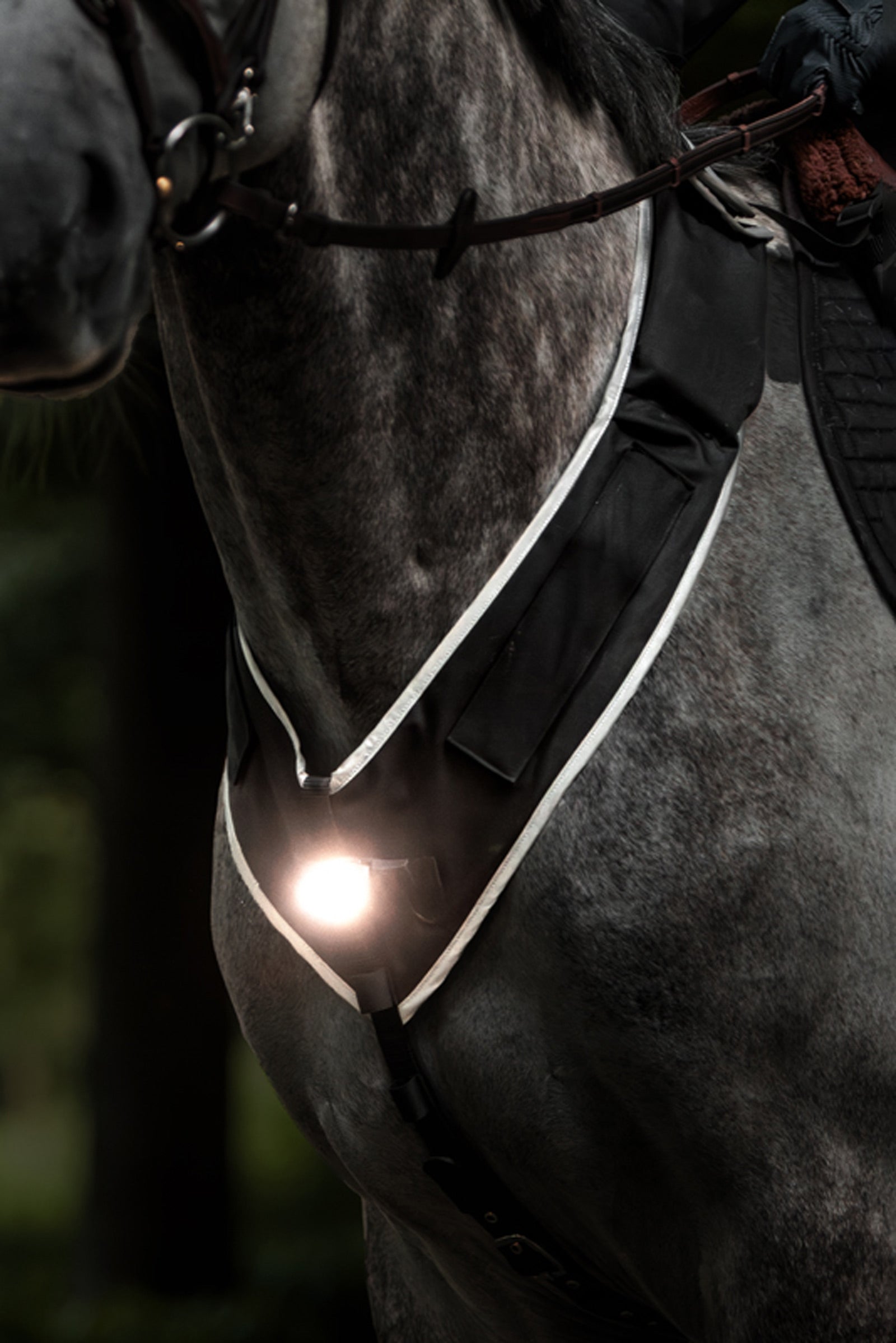 Kavalkade Horselight Breastplate & Saddle Light & Leg Cuffs, Set 2 Reflective