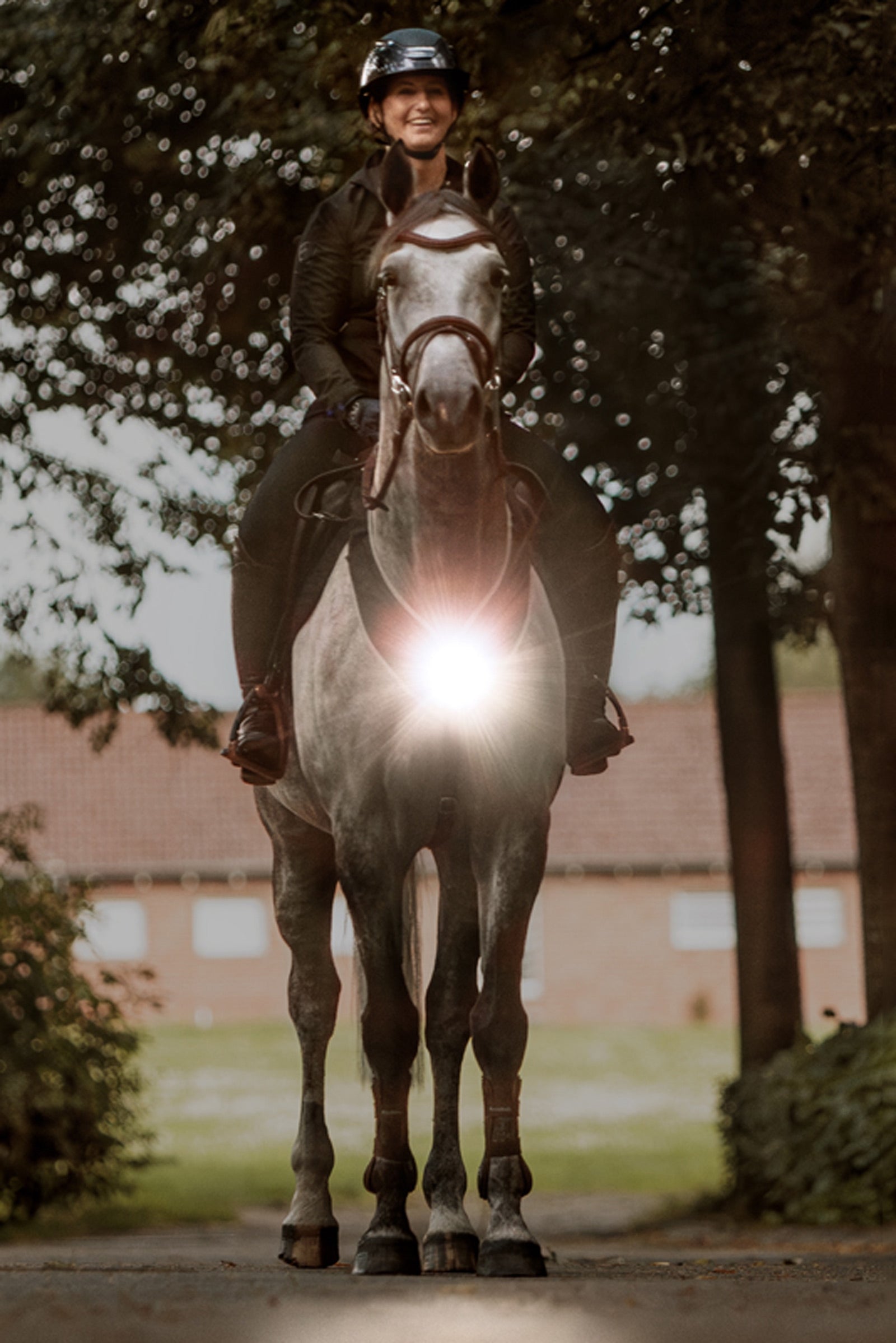 Kavalkade Horselight Breastplate & Saddle Light & Leg Cuffs, Set 2 Reflective