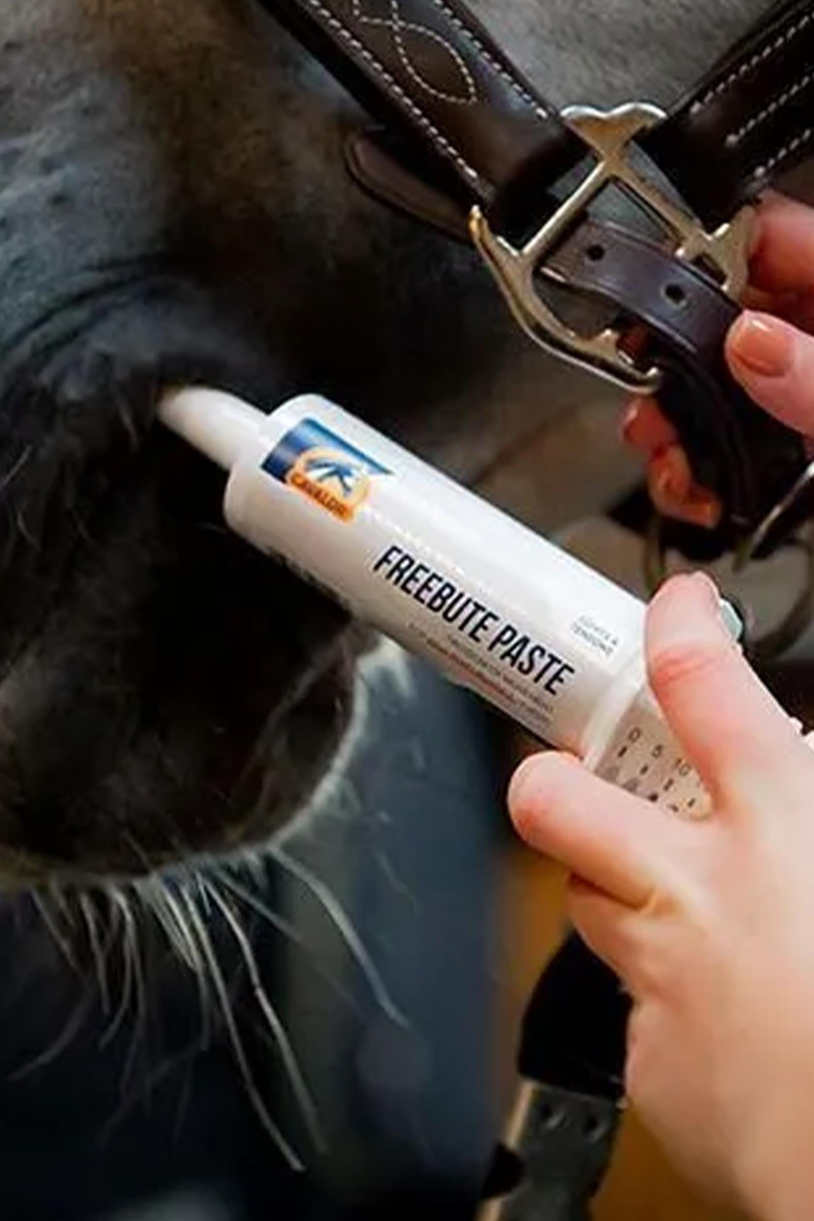 Cavalor Freebute Paste, Joints & Tendons, 60 g Syringe Horse Feed & Nutrition