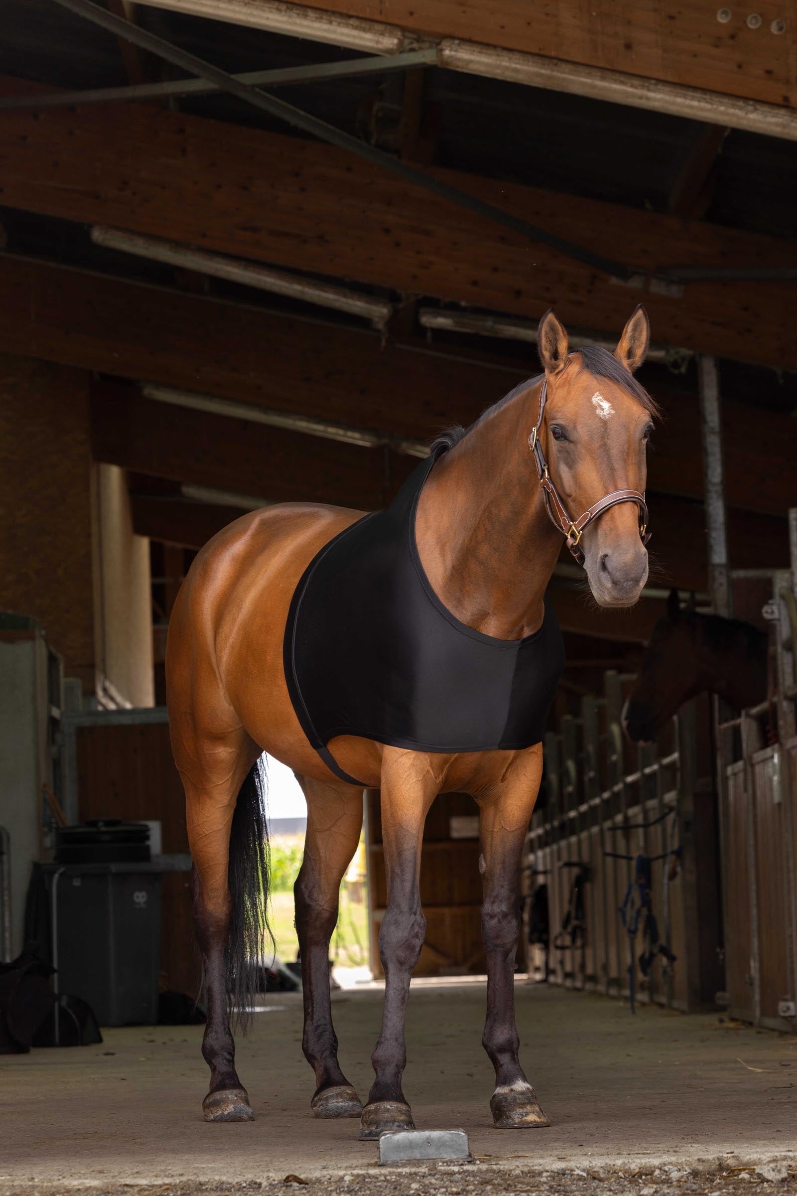 Equi Theme EQUITHÈME Shoulder Protection Horse Rugs