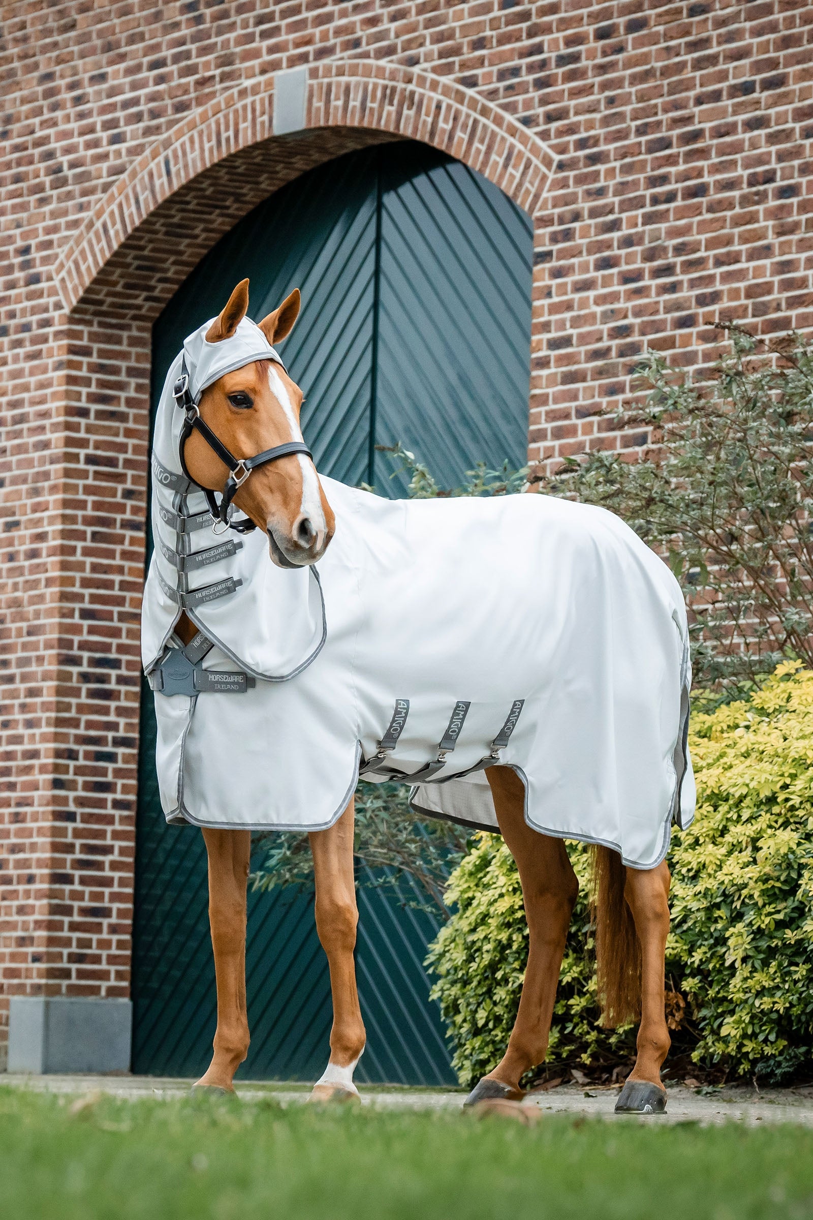 Horseware Amigo Ripstop Fliegendecke Pferdedecken