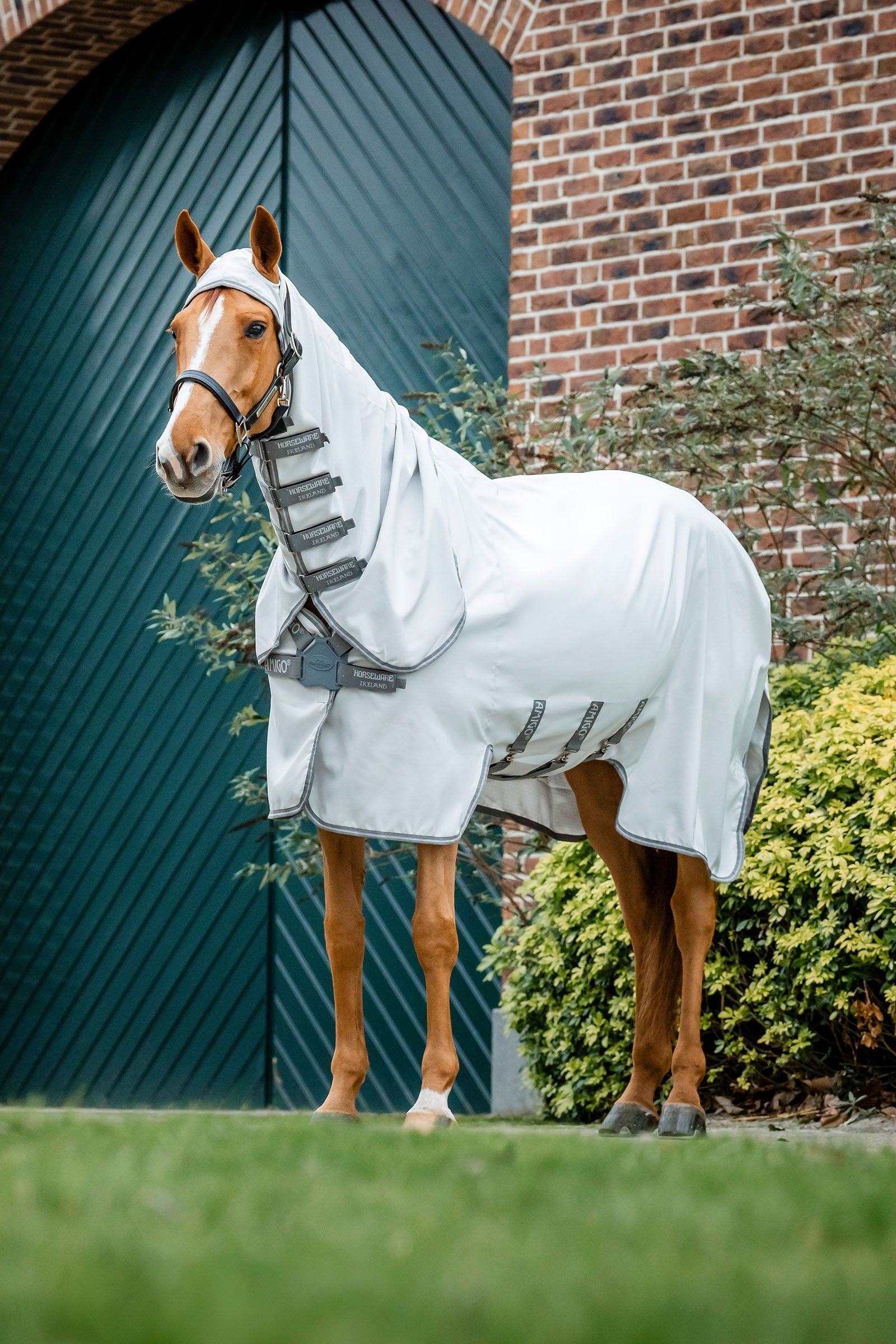 Horseware Amigo Ripstop Hoody Horse Rugs