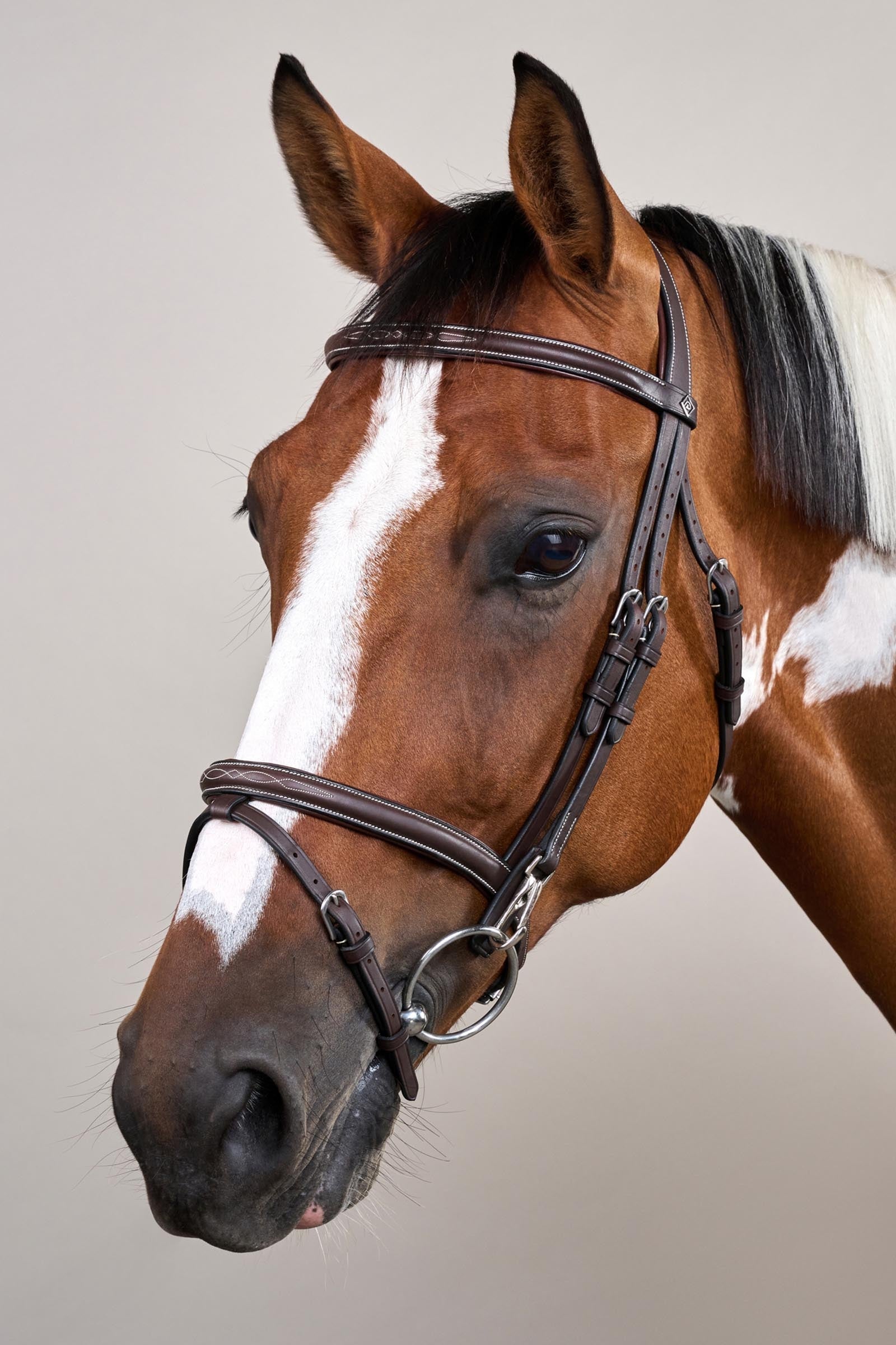 Dy'on Working Flash Noseband Bridle With Snaps Bridles & Reins