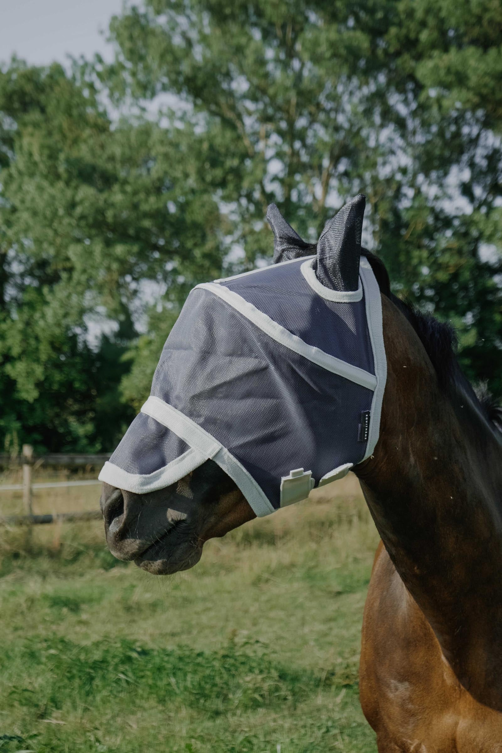 EQUITHÈME Cerceau Fly Mask/ UV Mask Antifly Protection for Horses