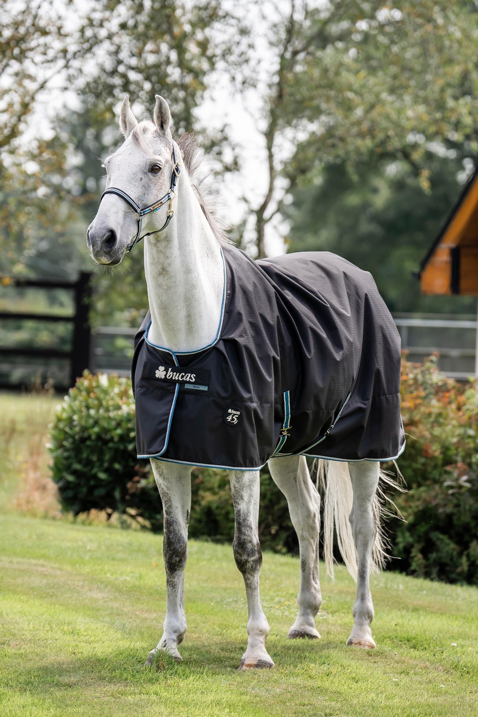Bucas Anniversary SD Light Rain Turnout Rug, 0g Horse Rugs