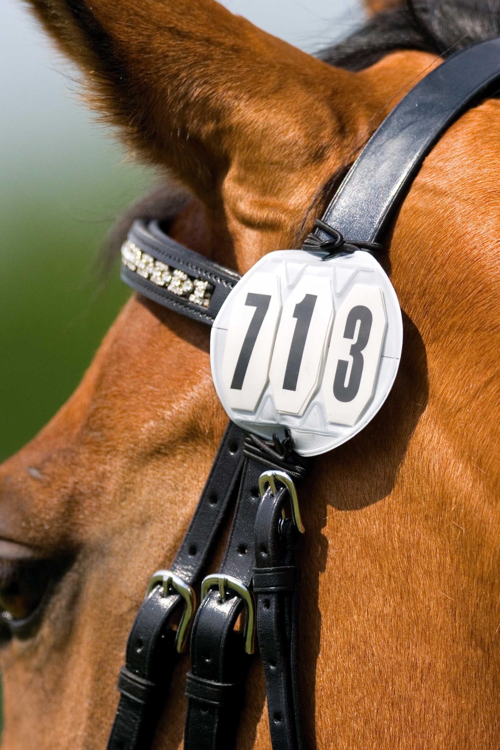 EQUITHÈME 3-Digit Starting Number, Round Women’s Riding Clothing