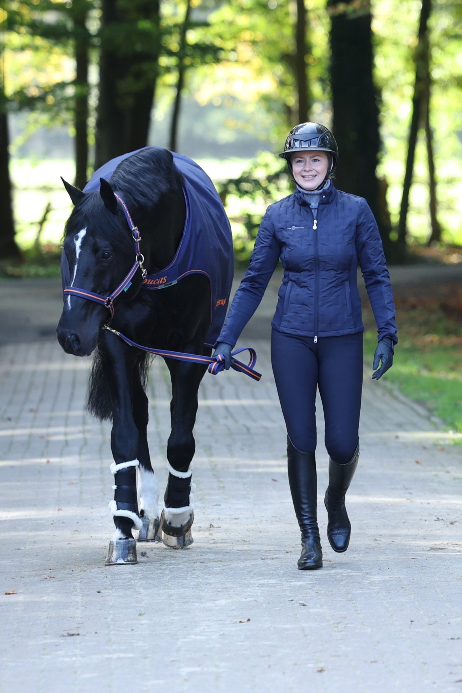 Bucas Therapy Walker Rug Horse Rugs