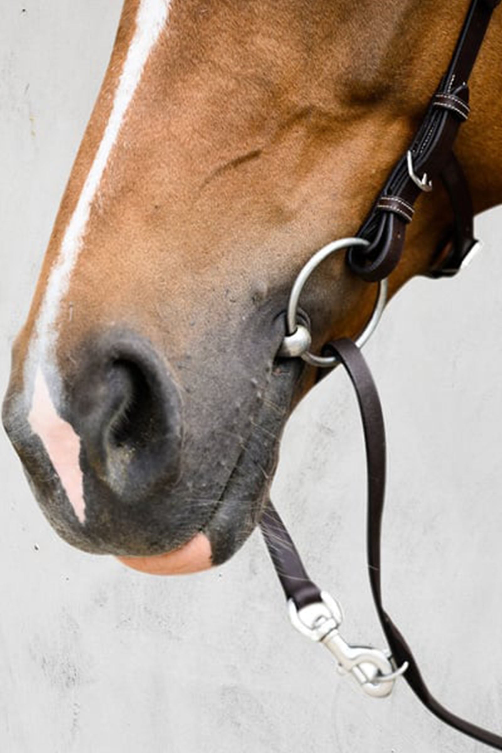 PS of Sweden Bridle Helsinki Bridles & Reins