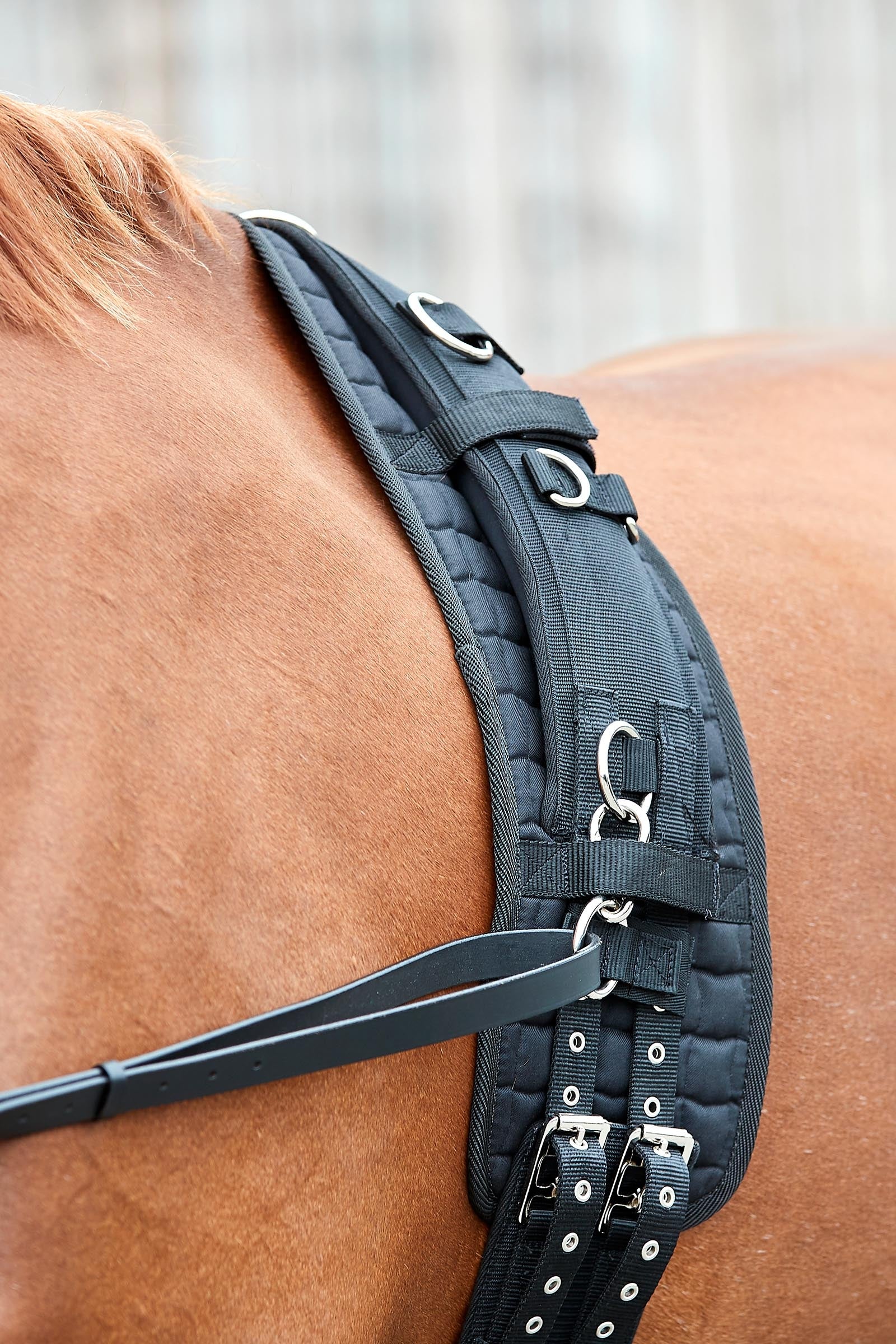 Horse Guard HorseGuard Lunging Girth Saddles, Girths & Stirrups