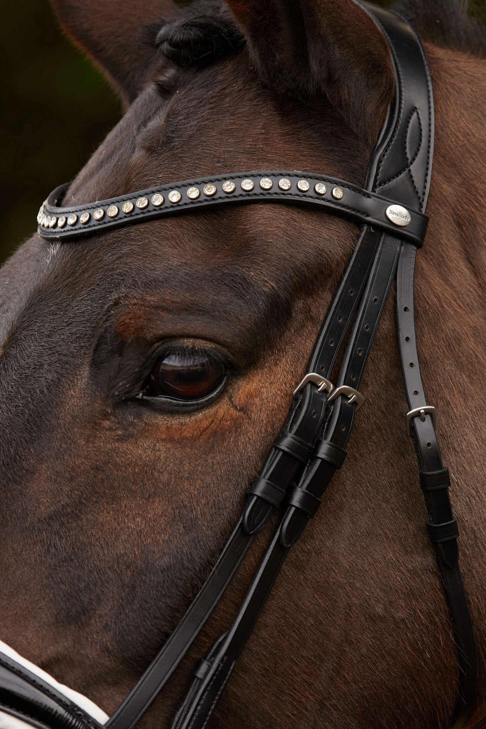 Kavalkade Charlotte Dressage Bridle Crank Noseband Bridles & Reins