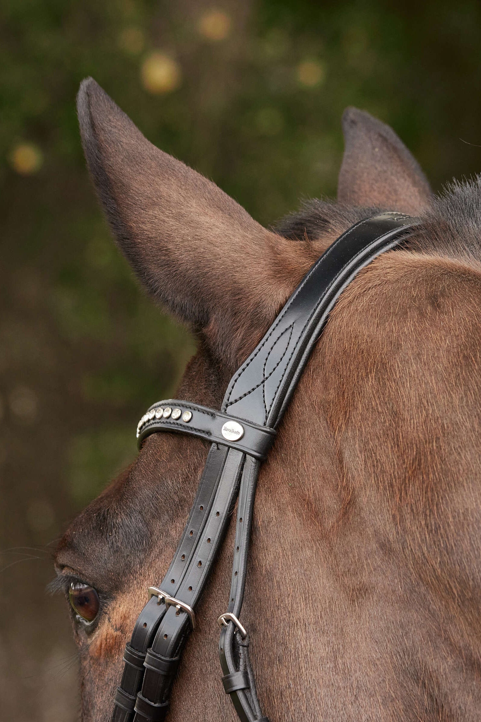 Kavalkade Charlotte Dressage Bridle Crank Noseband Bridles & Reins