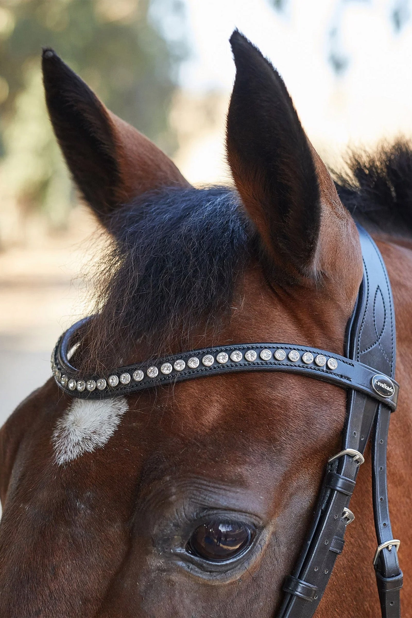 Kavalkade Charlotte Dressage Bridle Crank Noseband Bridles & Reins