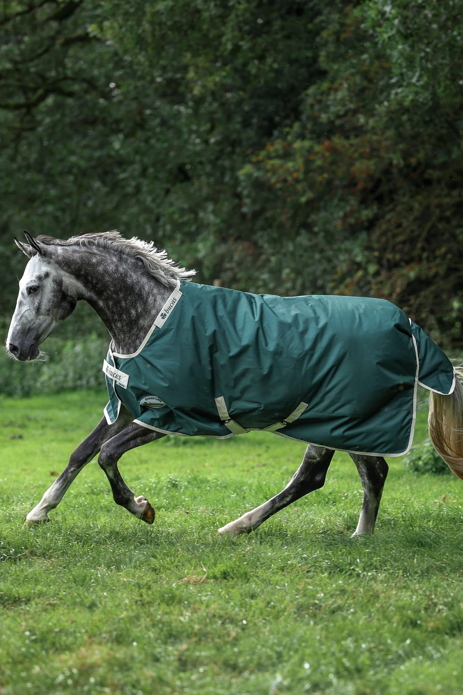 Bucas Green-Line Turnout 100g Horse Rugs