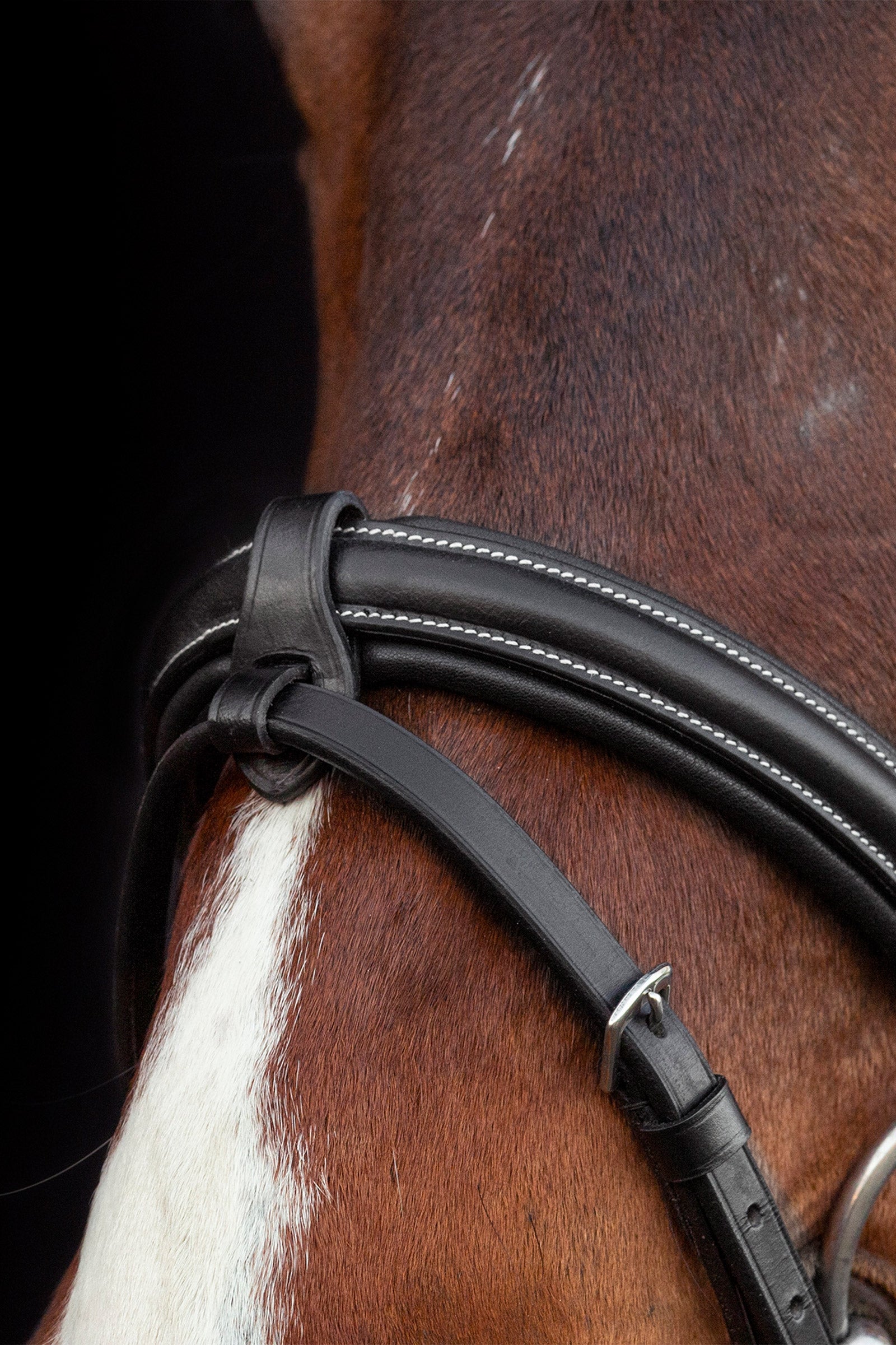 Schockemöhle Sports Dortmund Bridle Bridles & Reins