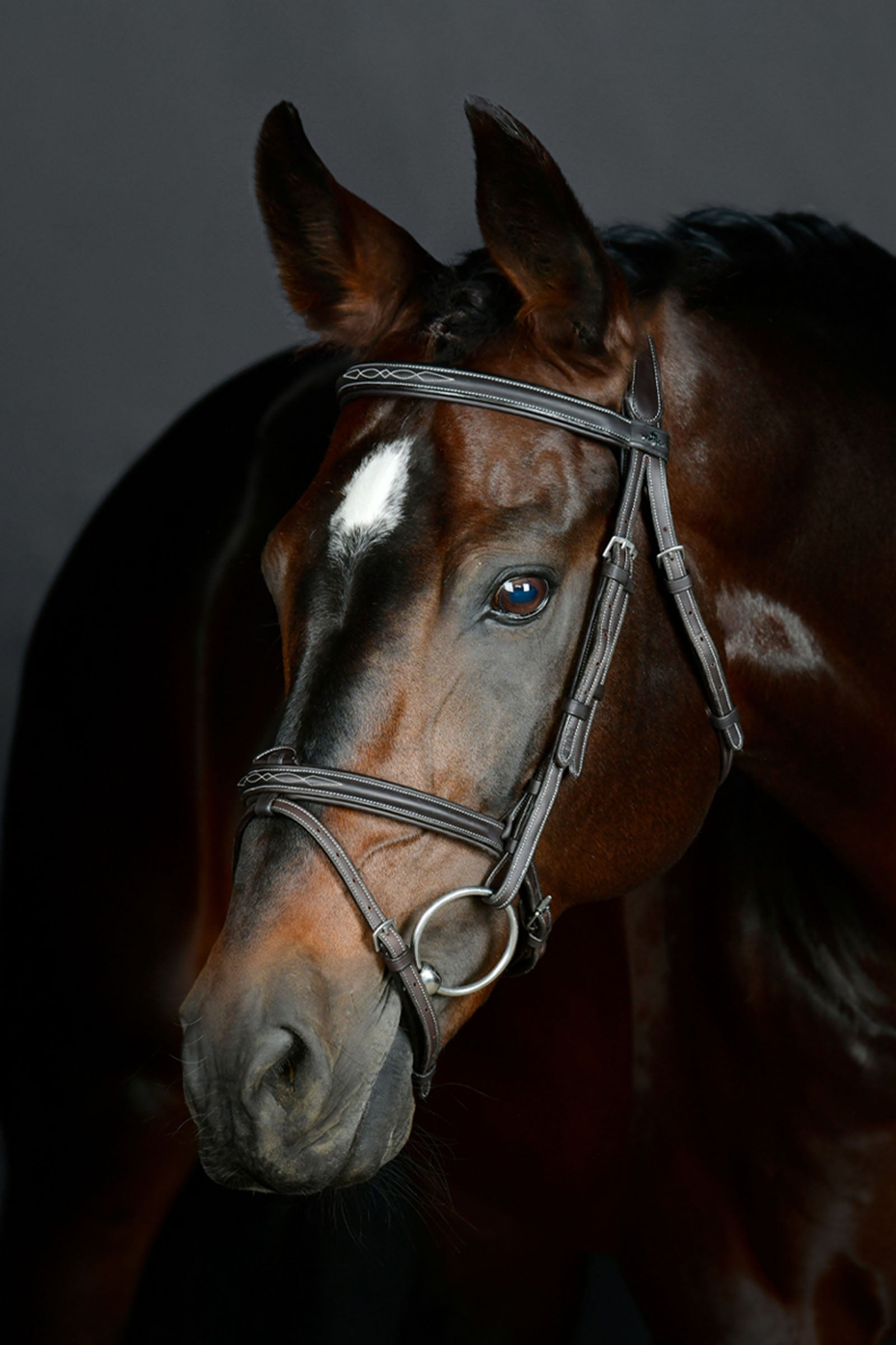 Collegiate Comfitec Opulux Fancy Stitch gepolsterte hannoversche Trense Trensenzäume & Zügel