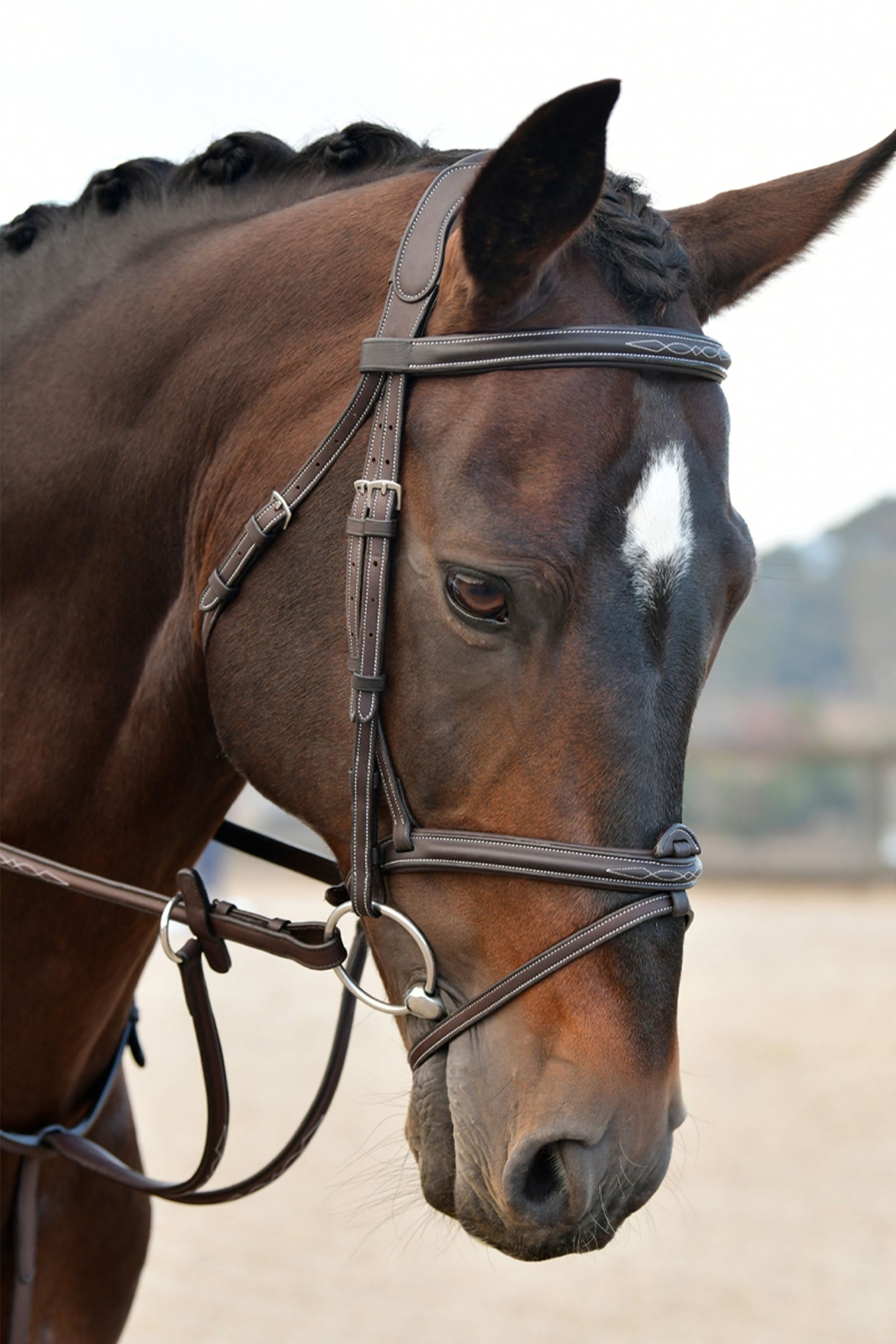 Collegiate Comfitec Opulux Fancy Stitch Padded Hanoverian Bridle Bridles & Reins
