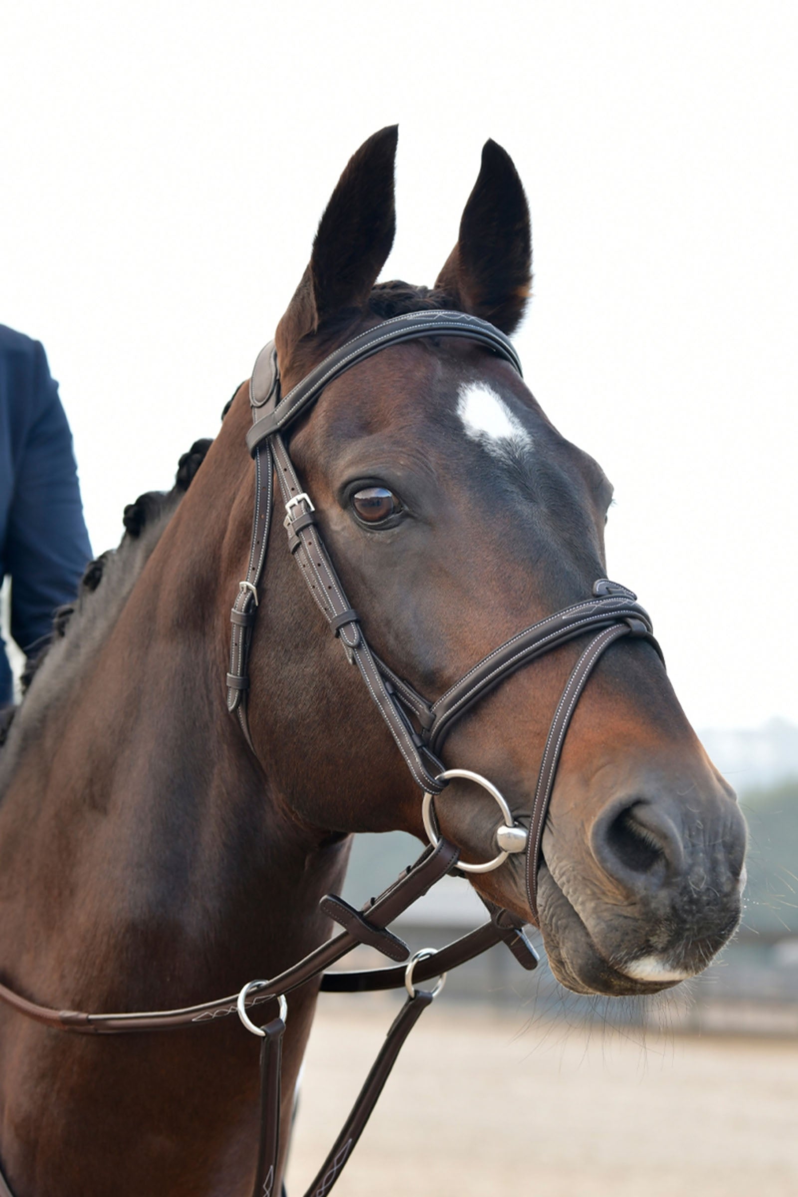 Collegiate Comfitec Opulux Fancy Stitch Padded Hanoverian Bridle Bridles & Reins