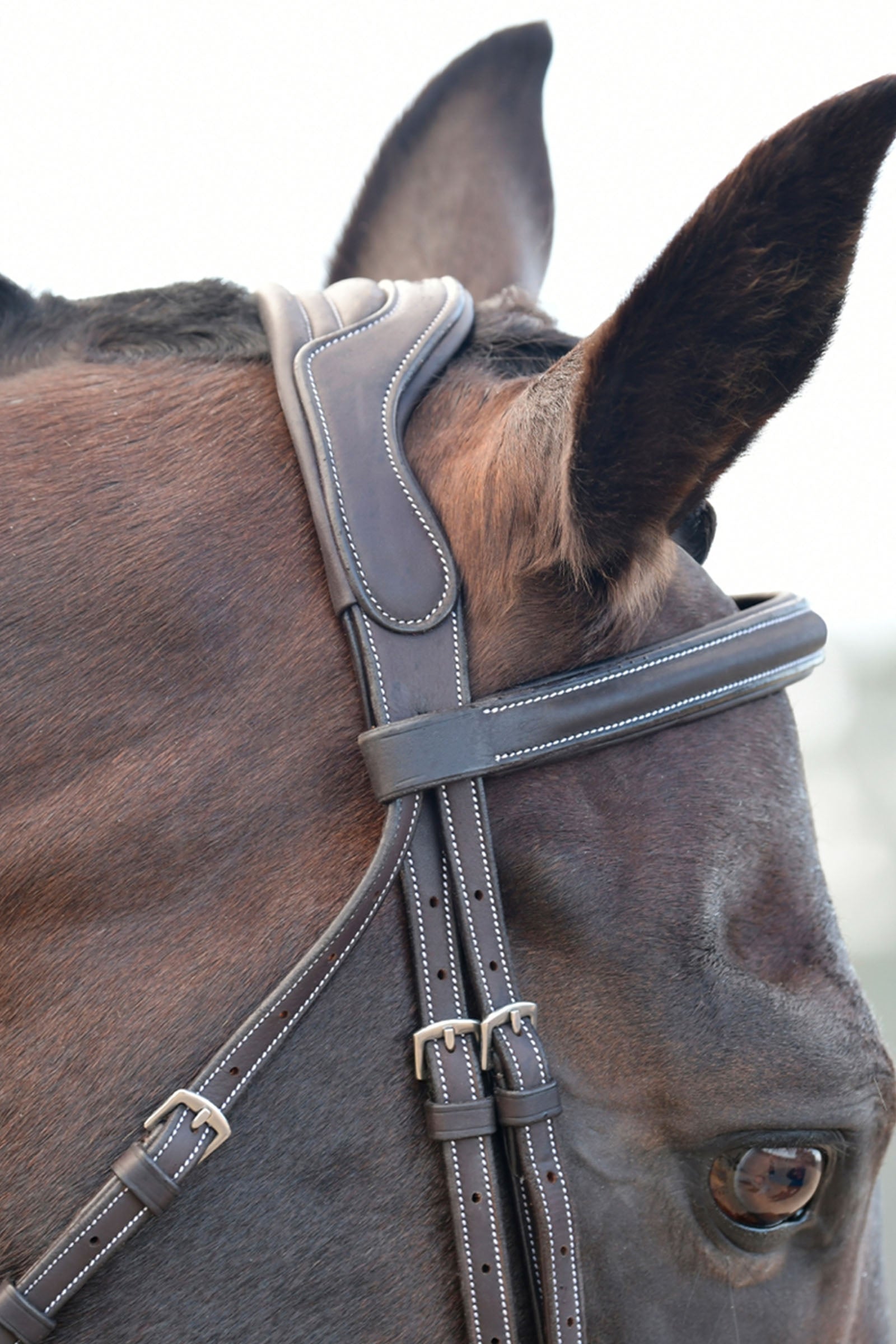 Collegiate Comfitec Opulux Fancy Stitch Padded Hanoverian Bridle Bridles & Reins