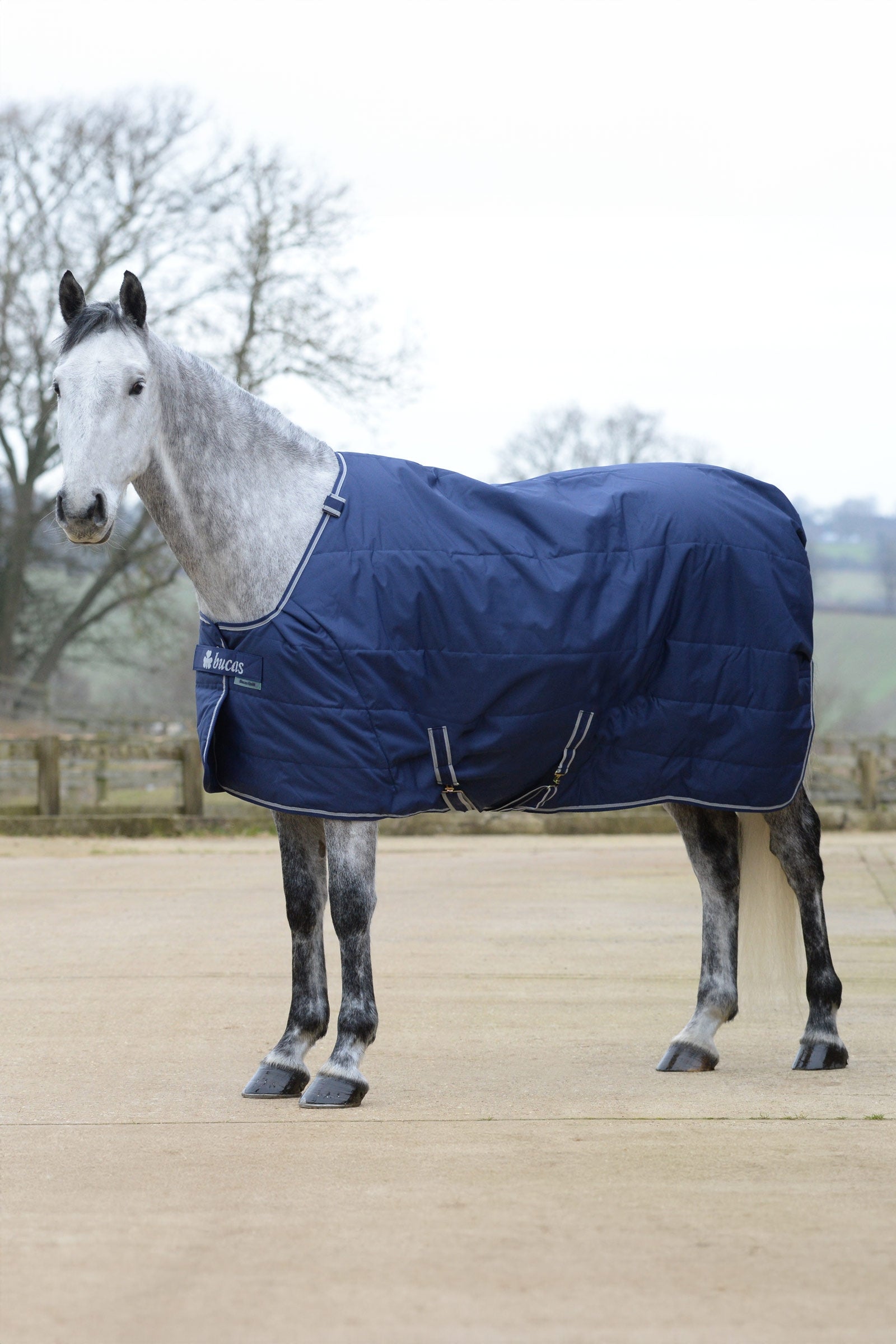 Bucas Quilt Stay-dry, 150g Horse Rugs