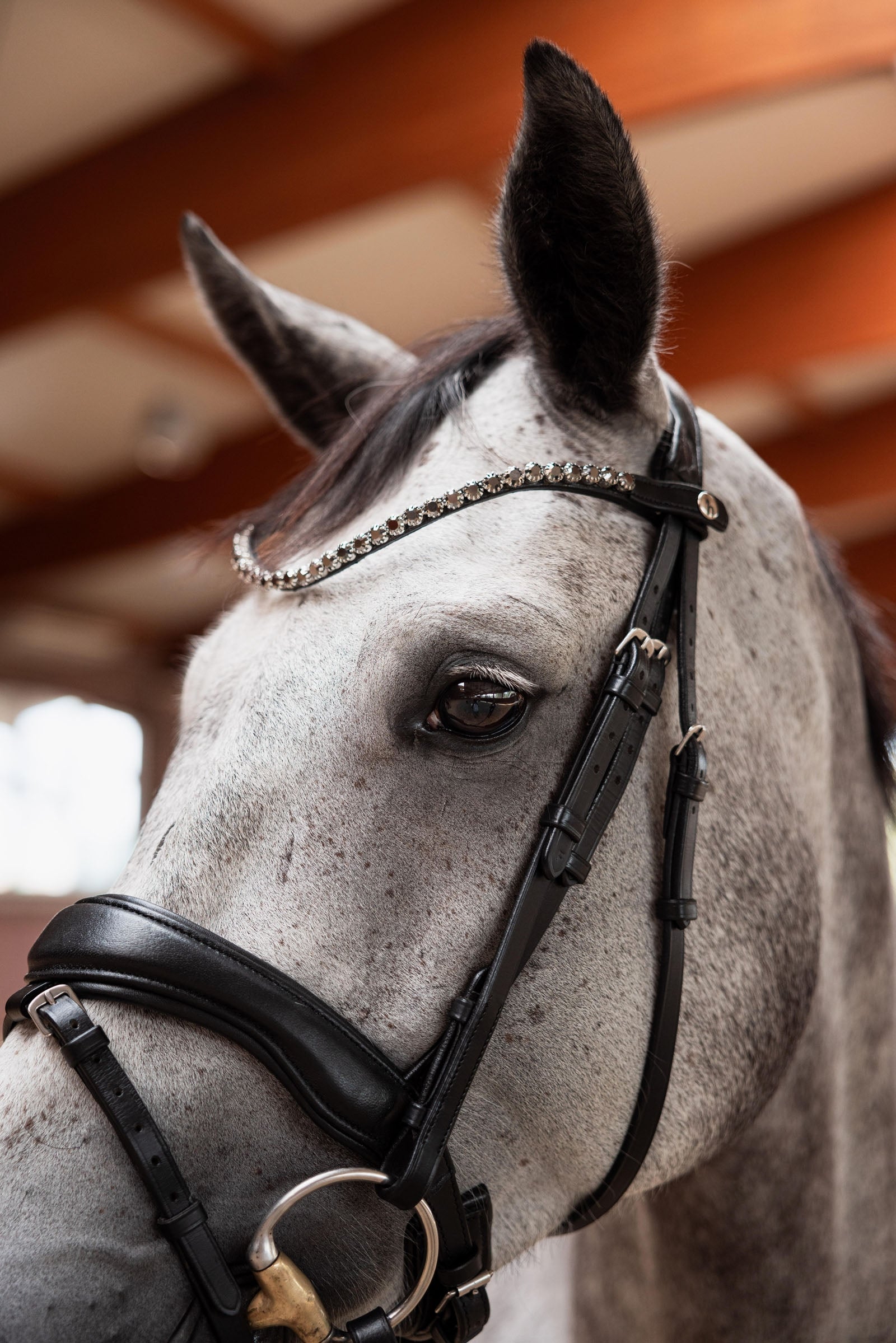 Horze Delémont Slim Browband Bridles & Reins