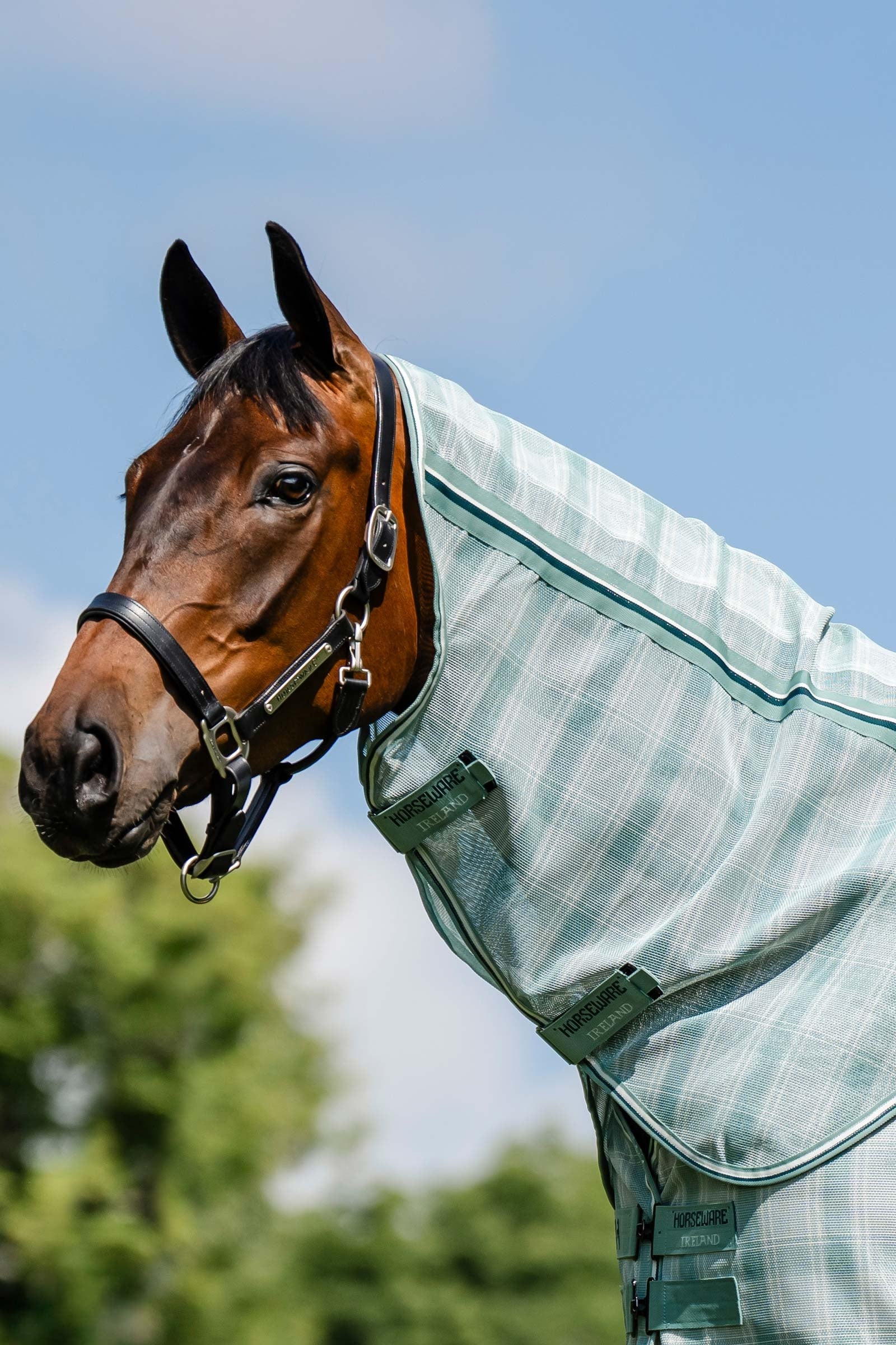 Horseware Newmarket Halsteil für Fliegendecke mit UV-Schutz Pferdedecken