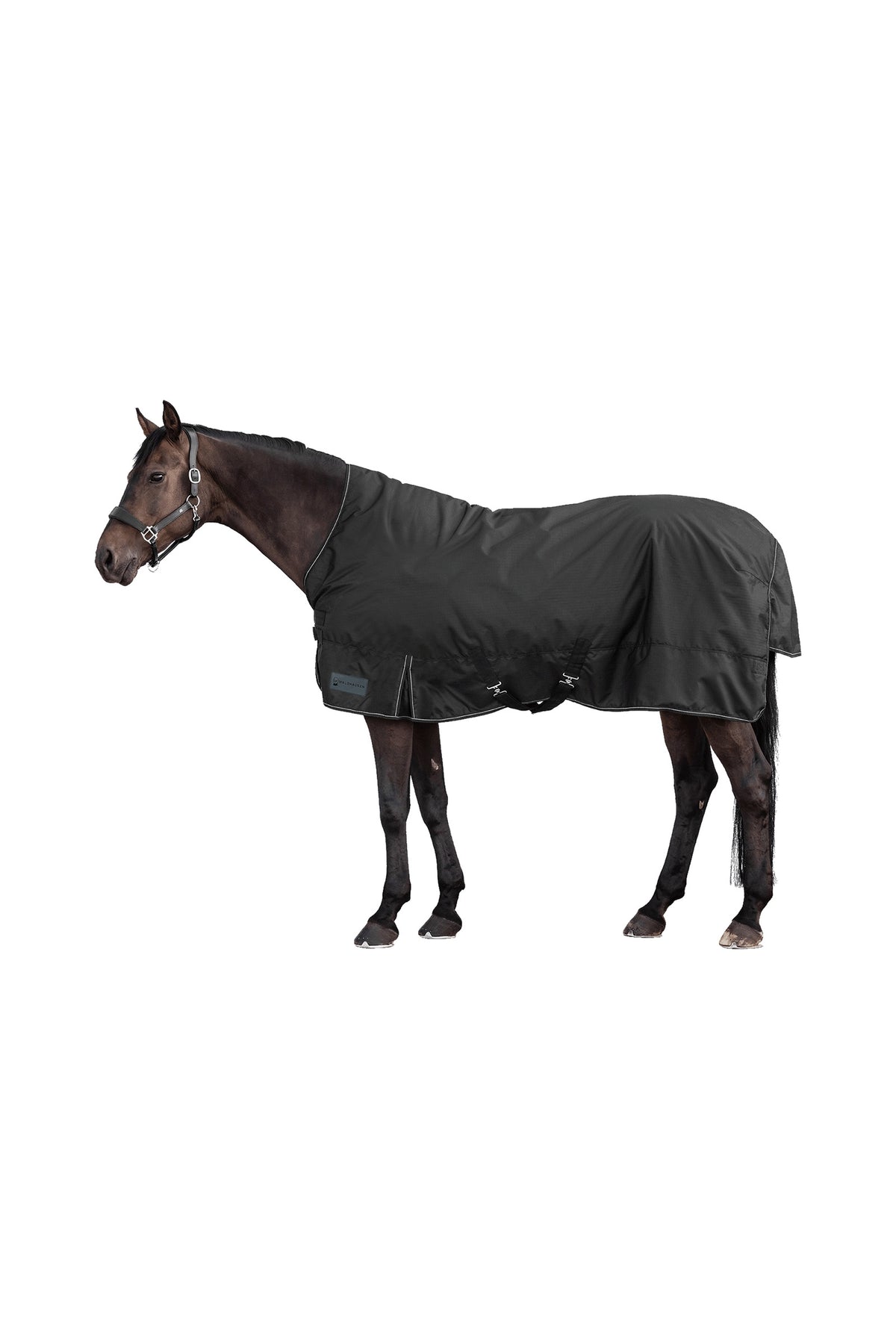 Waldhausen NORDIC 600D Outdoordecke mit High Neck, 100 g Pferdedecken