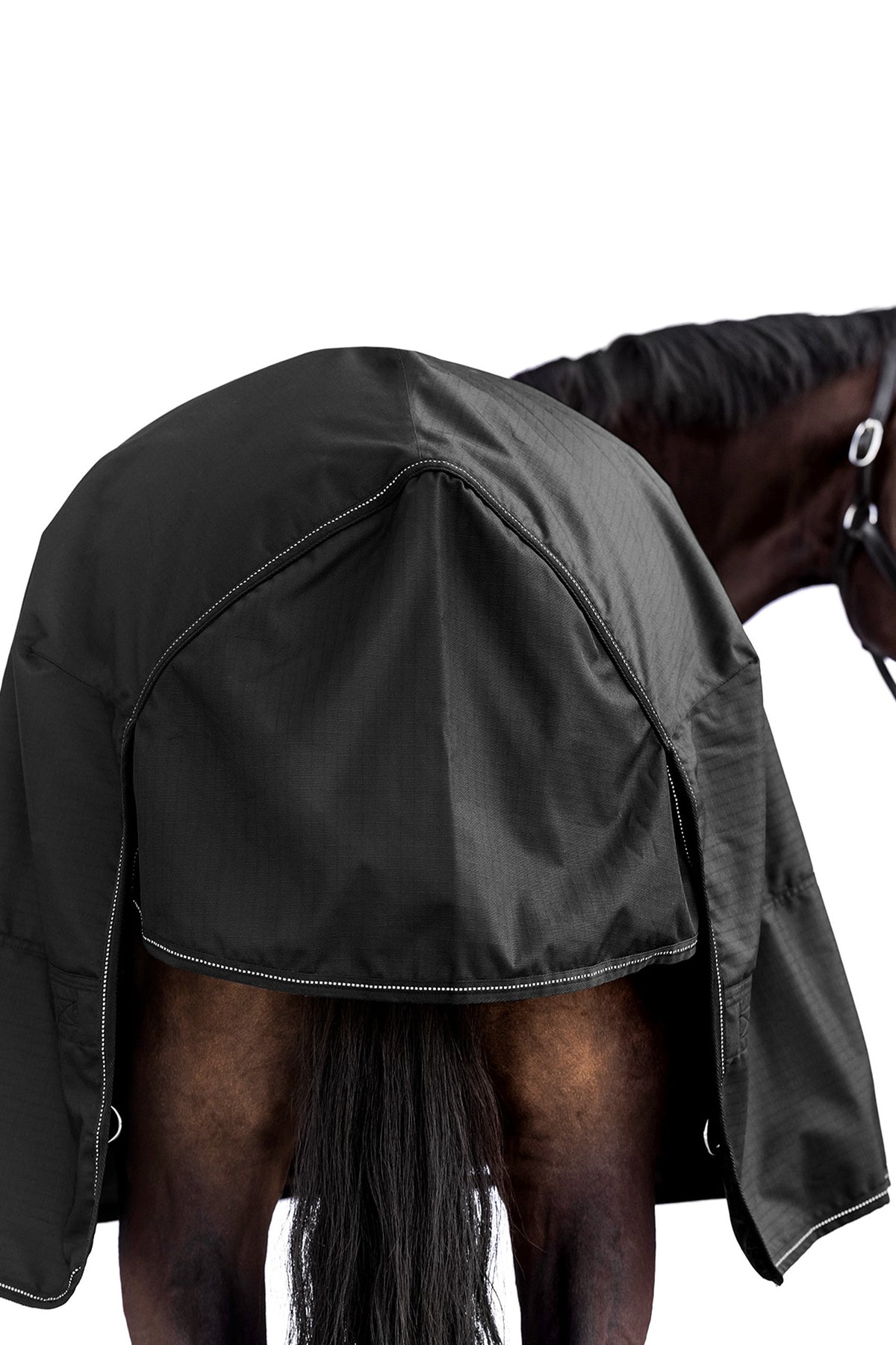 Waldhausen NORDIC 600D High Neck Outdoor Rug, 100 g Horse Rugs