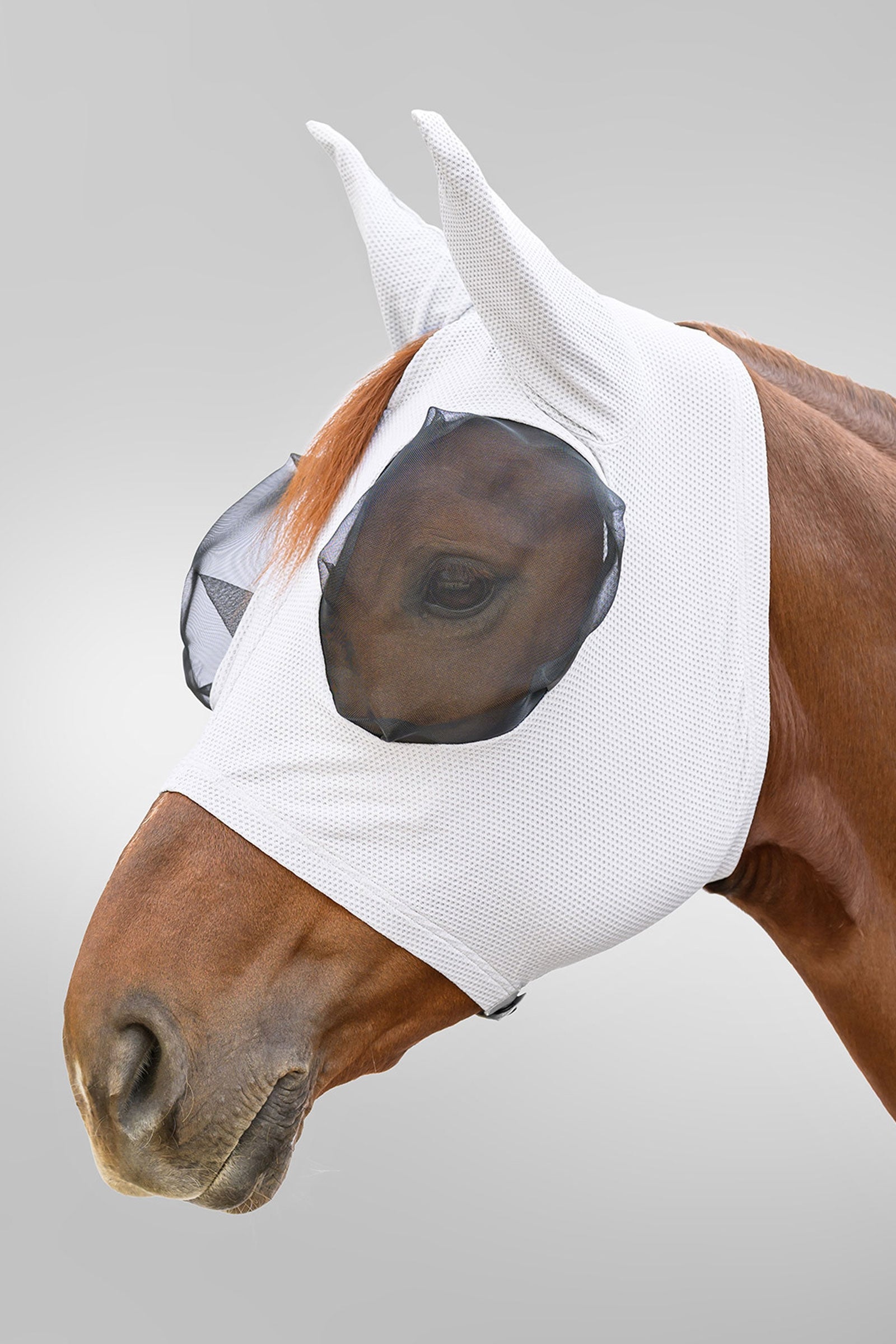 Waldhausen Breath Puck Fly Mask With UV-Protection Antifly Protection for Horses