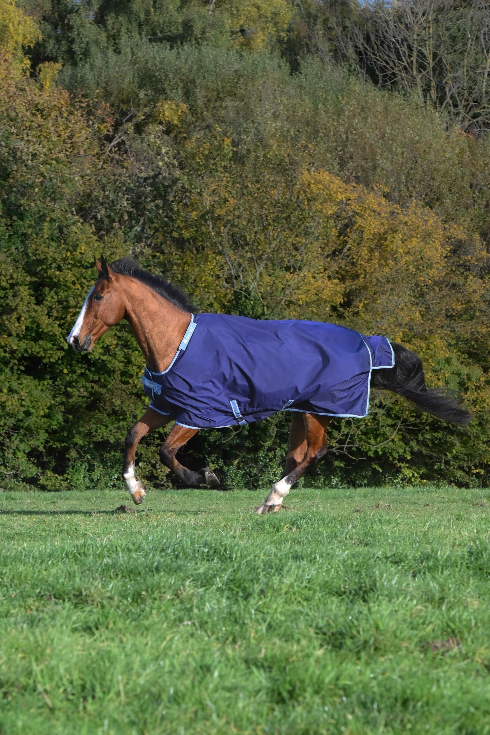 Bucas Atlantic Exclusive Rug & Neck Set, 0 g Horse Rugs