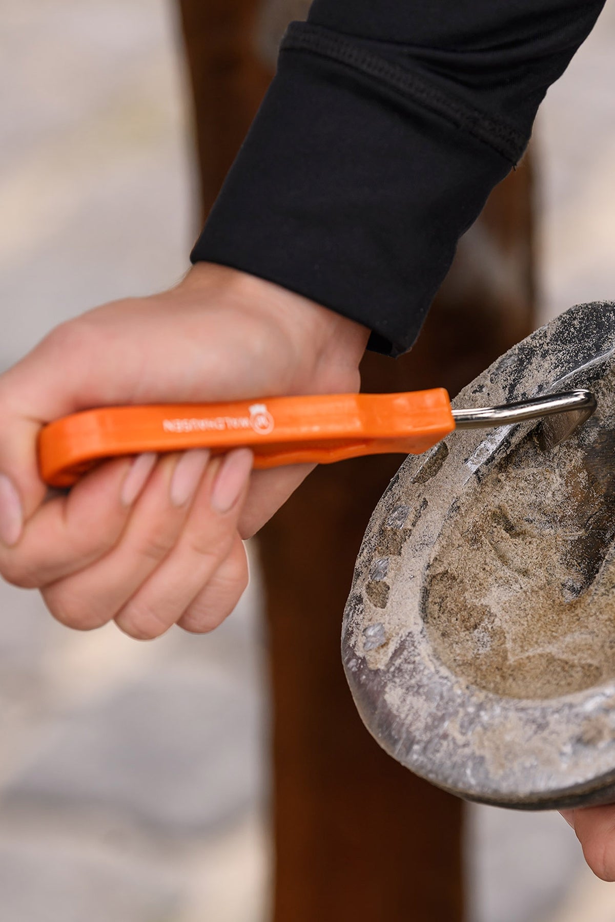 Waldhausen Hoof Pick Without Brush Horse Grooming Tools