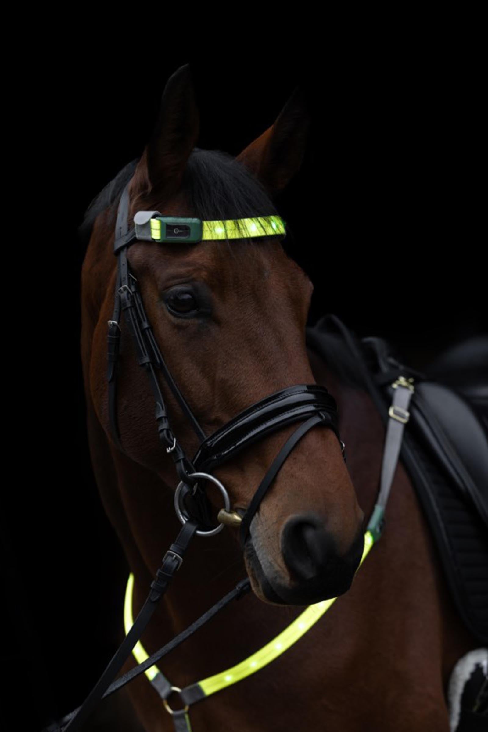 Covalliero LED Browband Reflective