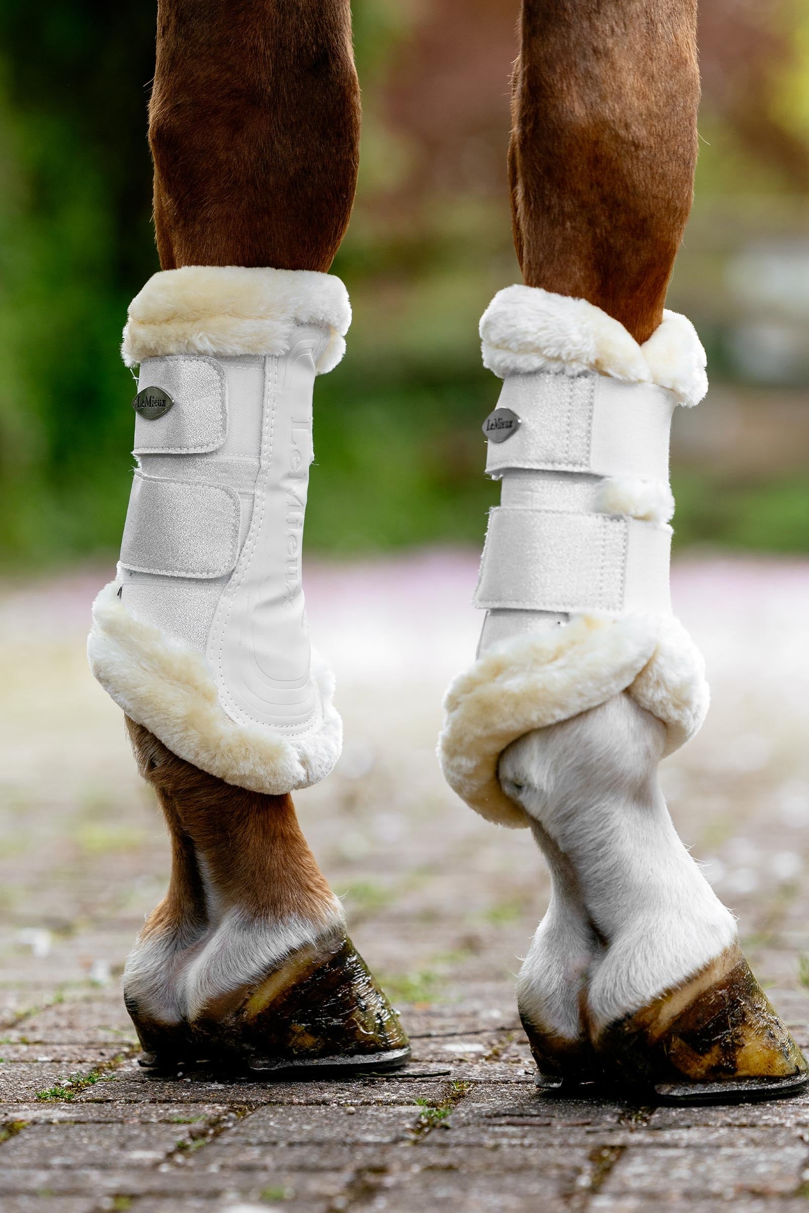 LeMieux Brilliance Fleece Edged Brushing Boots Leg Protection & Hoof Protection for Horses
