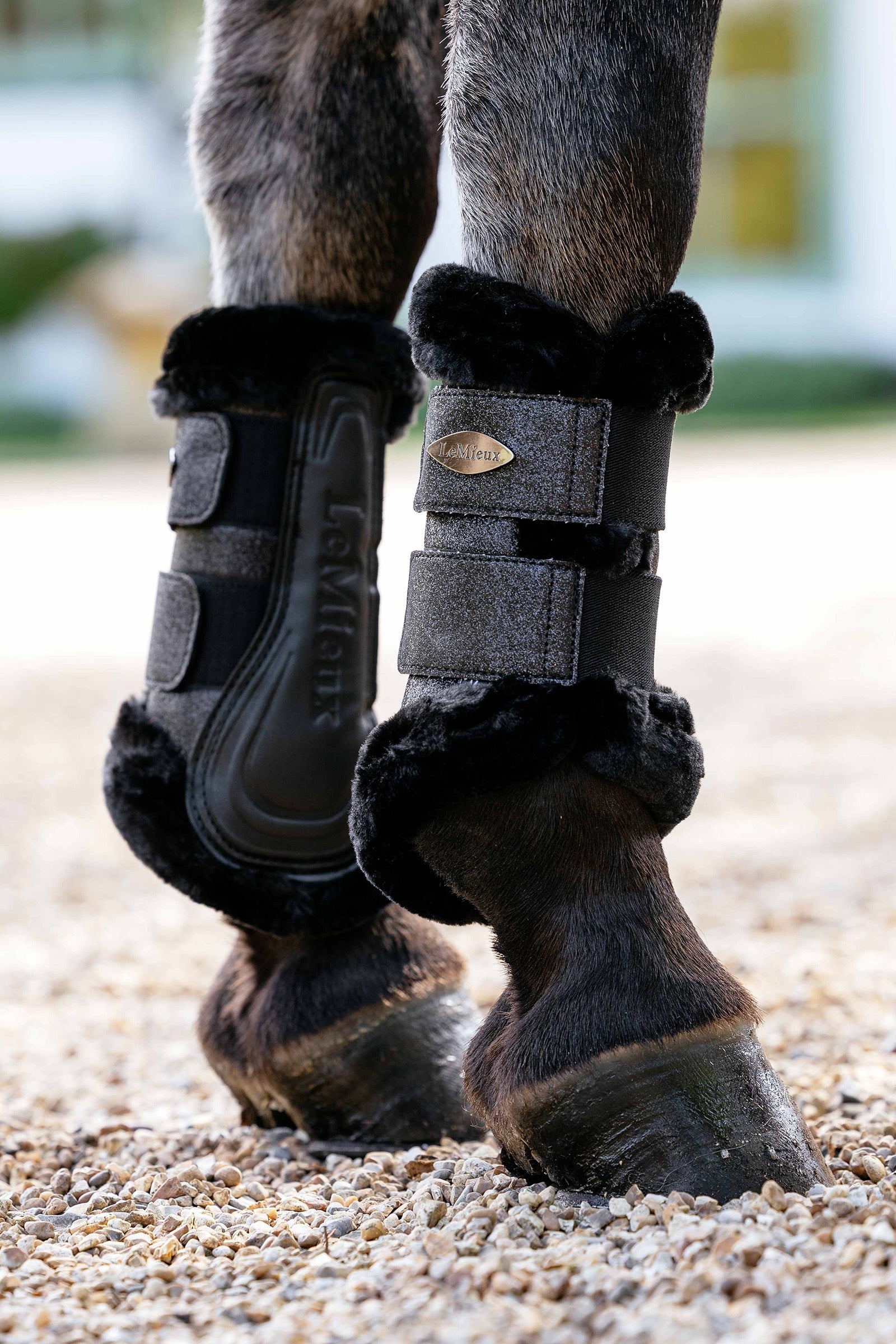 LeMieux Brilliance Fleece Edged Brushing Boots Leg & Hoof Protection