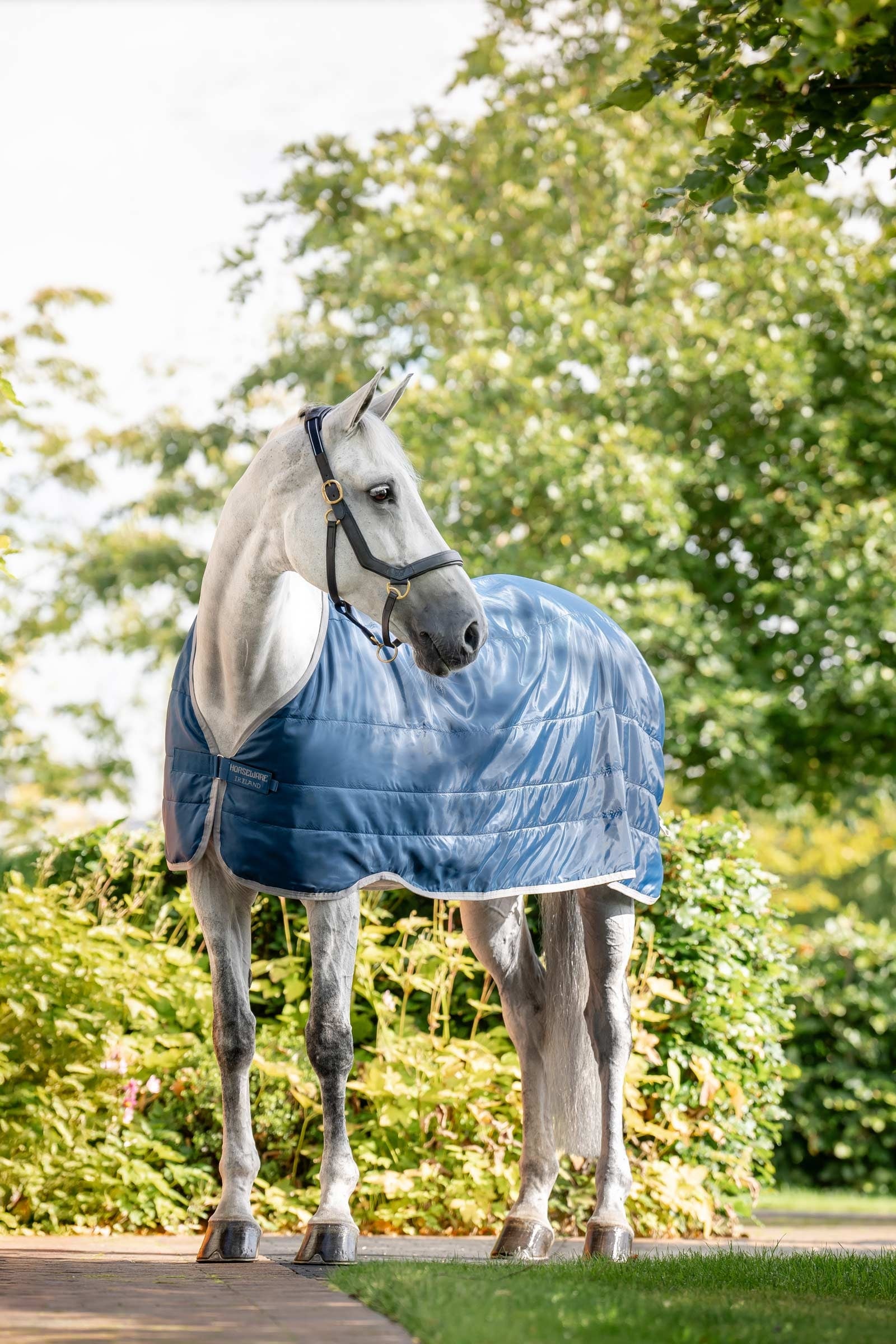 Horseware Ionic Therapy Unterdecke 50g Pferdedecken