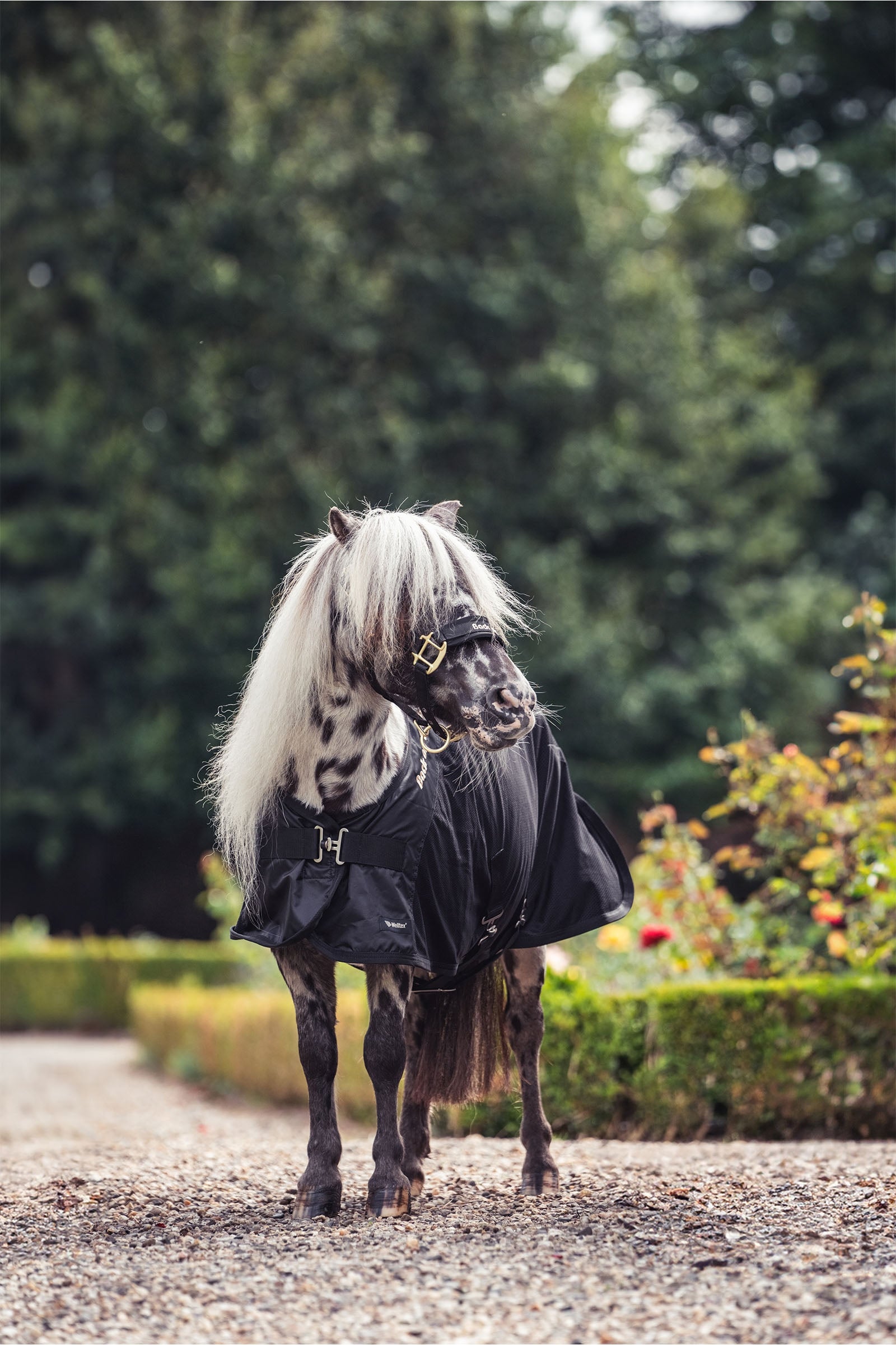 Back on Track Royal Pony Mesh Rug Deluxe Horse Rugs