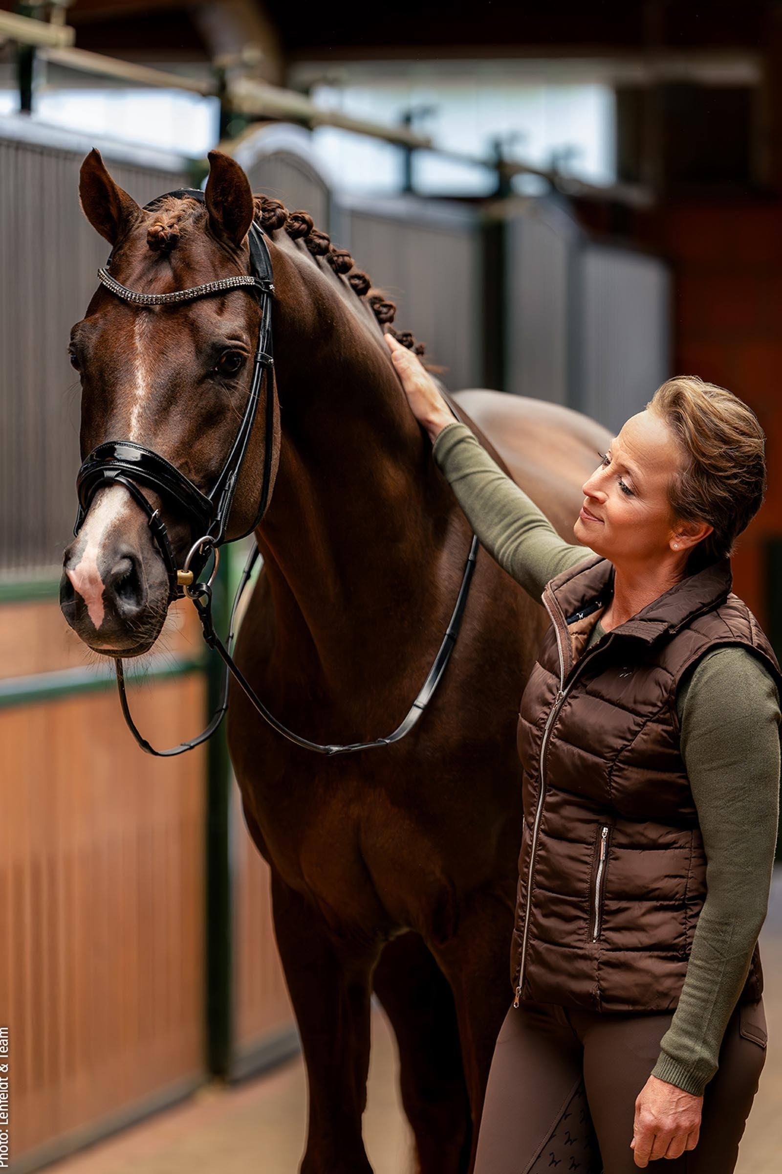 Schockemöhle Sports Satchmo Bridle - Isabell Werth Collection Bridles & Reins