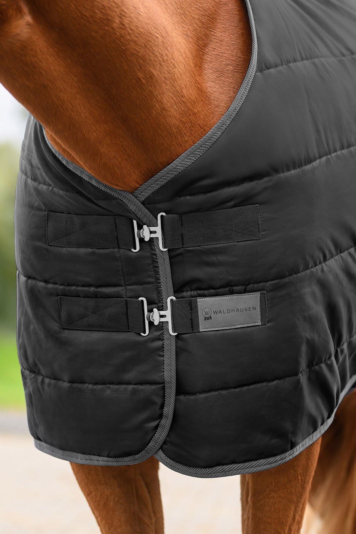 Waldhausen ECONOMIC Stable Rug, 200 g Horse Rugs