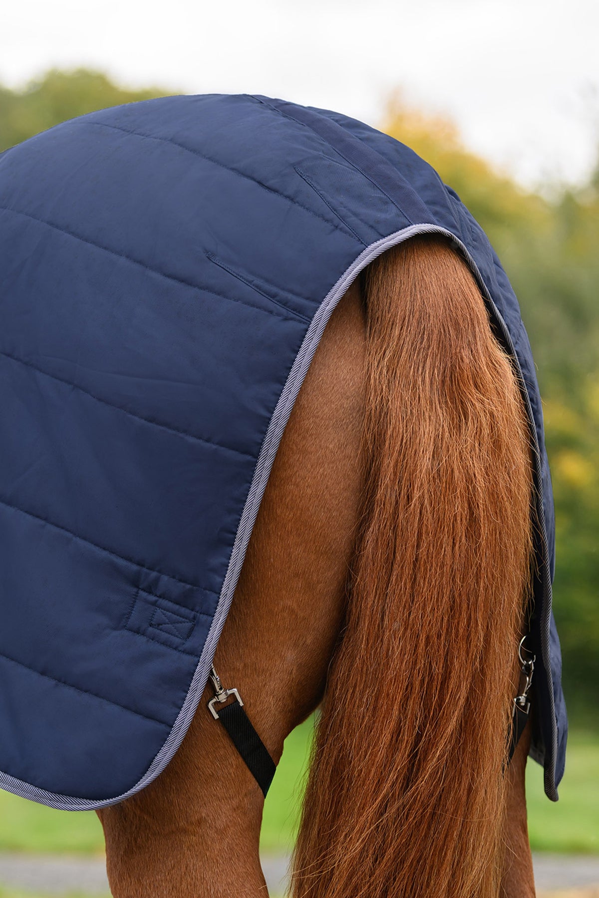 Waldhausen ECONOMIC Stable Rug, 200 g Horse Rugs