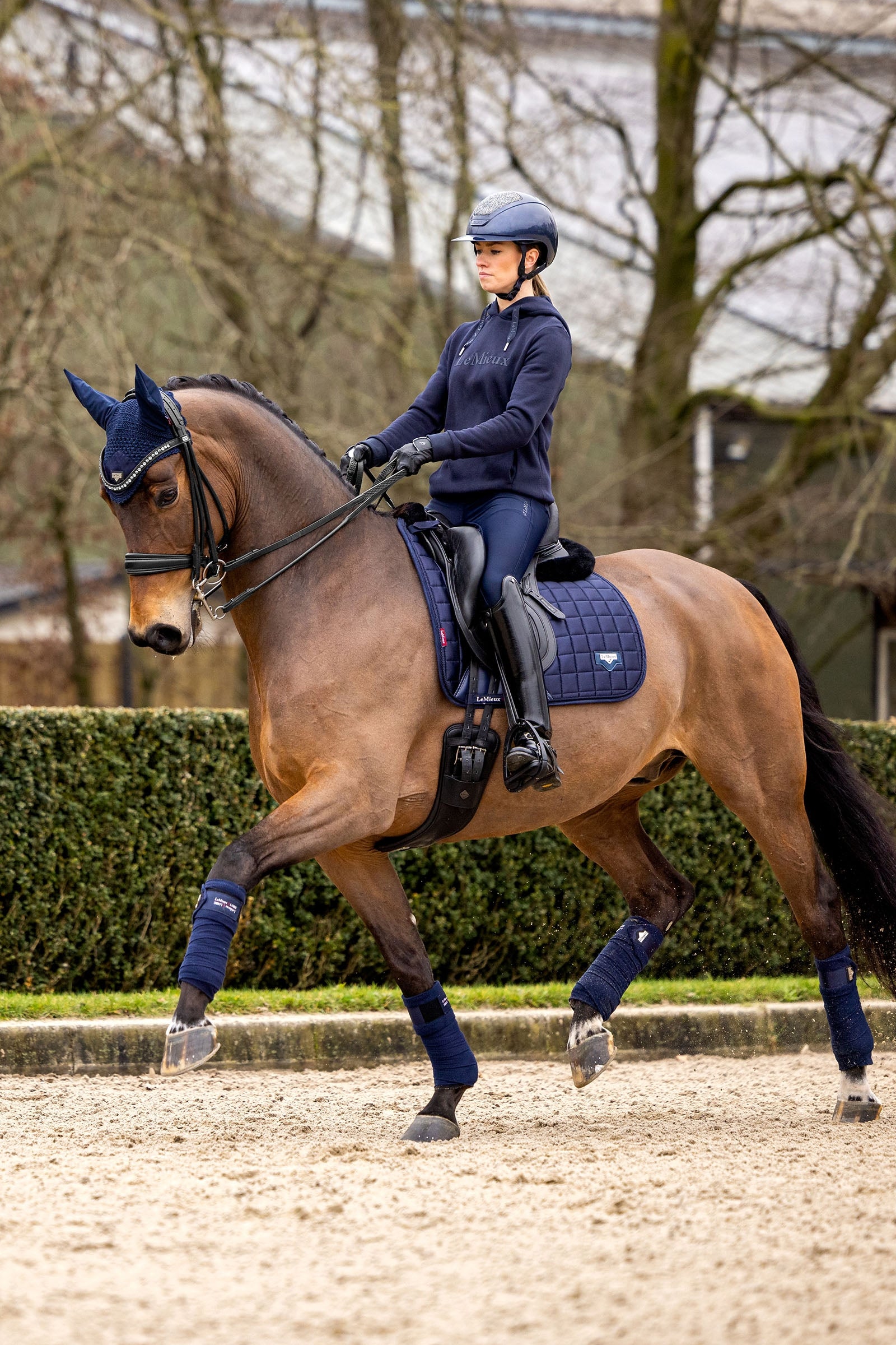 LeMieux Loire Classic Square Dressage Saddle Pad Saddle Pads