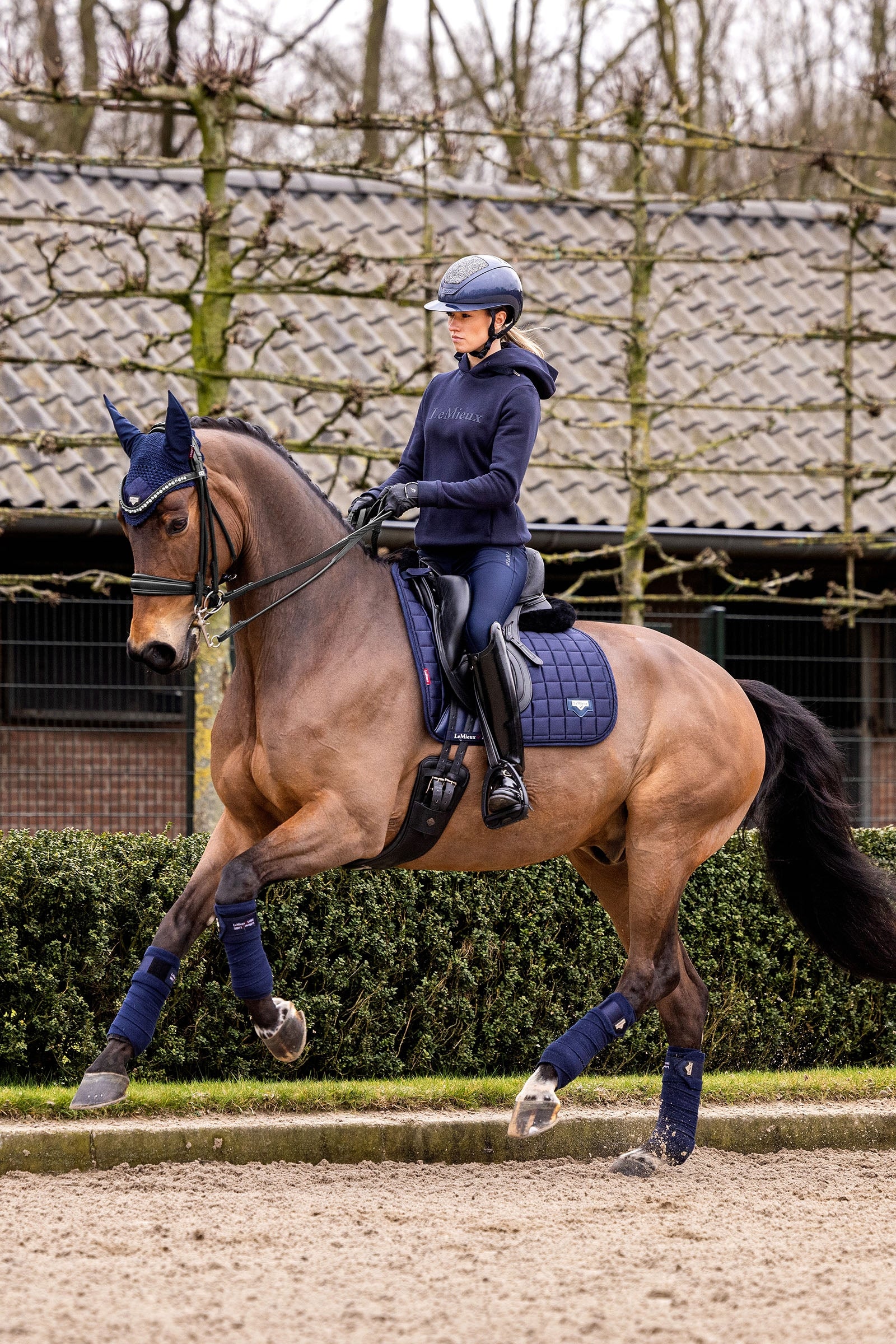 LeMieux Loire Classic Square Dressage Saddle Pad Saddle Pads